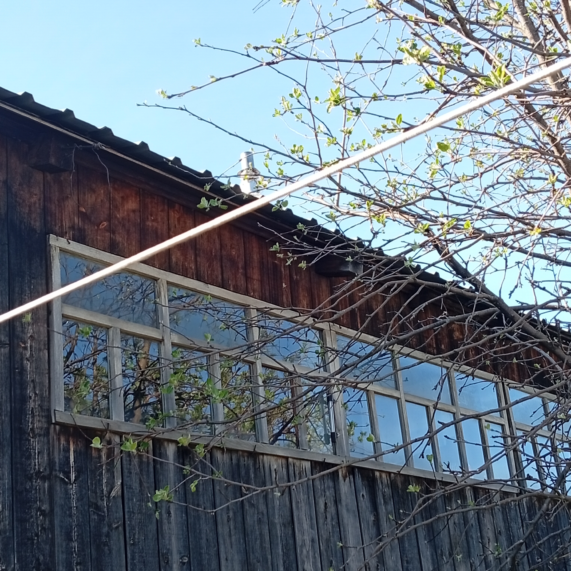 An exterior view of a weathered wooden building in what appears to be a rural area, possibly in Barda, Russia. The building is constructed of vertical wooden planks, some of which show signs of discoloration. A long row of multi-pane windows is visible. Tree branches with budding leaves frame the right side of the building and are reflected in the windows. A white cable stretches across the upper portion of the frame, partially obscuring the view. The roof has a corrugated metal covering. The sky is clear and blue.
