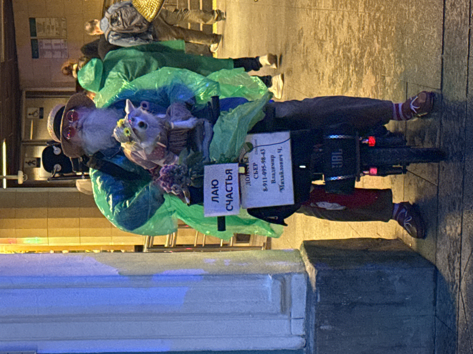 The image shows a man with a white beard, wearing a straw hat and round sunglasses, and a green poncho. He is sitting on what appears to be a modified electric scooter or bicycle. He is holding a plush toy animal, possibly a dog or fox, wearing a small hat with a sunflower. A sign is attached to the scooter, with Russian text that appears to be a request for donations and a phone number: "ЛАЮ СЧАСТЬЯ", "ДОБЫ", "- СБЕР", "8-911-095-98-43", "Владимир", "Михайлович Ч.". The man is in an urban environment, likely near a subway station entrance, suggested by the architectural features in the background which resemble those found in Saint Petersburg metro stations. Other people in the background are also wearing green ponchos and walking away from the camera, possibly indicating rainy weather. The ground is paved with tiles. The overall lighting suggests it is evening or a dimly lit indoor public space. The scooter has a "JBL" logo visible on the rear.