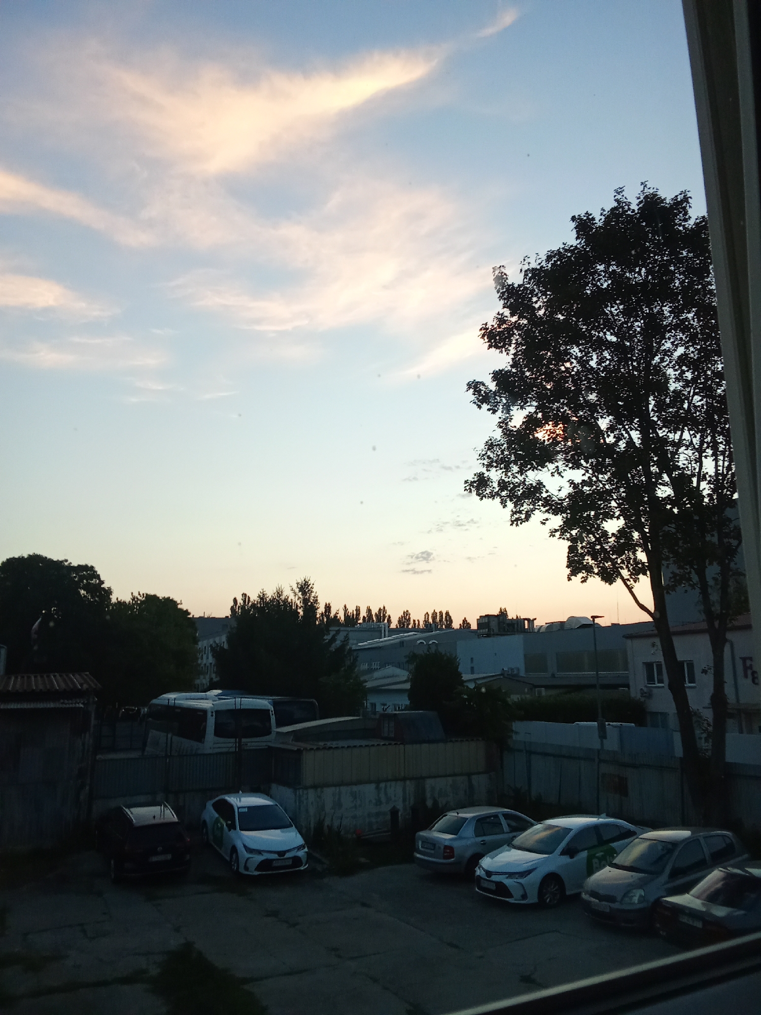 A silhouetted tree on the right side of the frame dominates the foreground, obscuring a portion of the setting sun, which casts a warm glow on the wispy clouds in the pale blue sky above. In the middle ground, a variety of buildings, some industrial in appearance with large windows and flat roofs, are visible. A white bus is parked behind a corrugated metal fence, and several cars are parked in a lot. The cars include a dark sedan, a white sedan with green markings, a silver sedan, and a dark hatchback. The scene appears to be an urban or industrial area, possibly a parking lot or industrial estate. The lighting suggests it is late afternoon or early evening. The location is stated as Bratislava, Slovakia, though no specific landmarks are identifiable to confirm this.