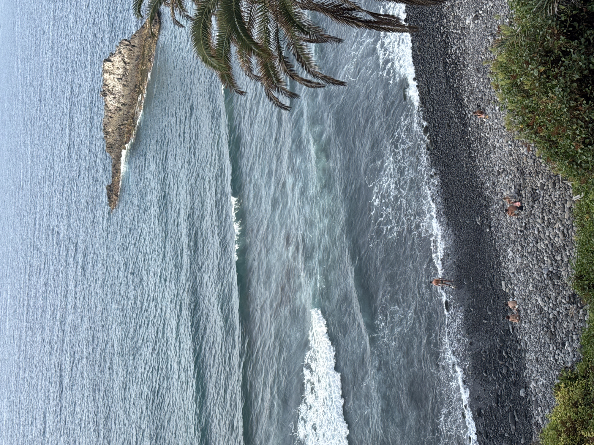 An elevated, full shot captures a natural, undeveloped beach with dark, smooth pebbles meeting a choppy, deep blue ocean. A rocky outcrop, partially submerged in the water, breaks the surface to the upper right of the frame. Waves crash onto the shore, creating white foam. On the beach, four individuals are visible. One adult male stands near the water's edge, facing away from the camera. Further down the beach, closer to the foreground, two individuals are seated. To the right, another individual is seated near a patch of green foliage. A palm frond hangs from the upper right corner of the image, partially obscuring the view of the ocean. The overall scene is one of a remote and tranquil coastal setting.
