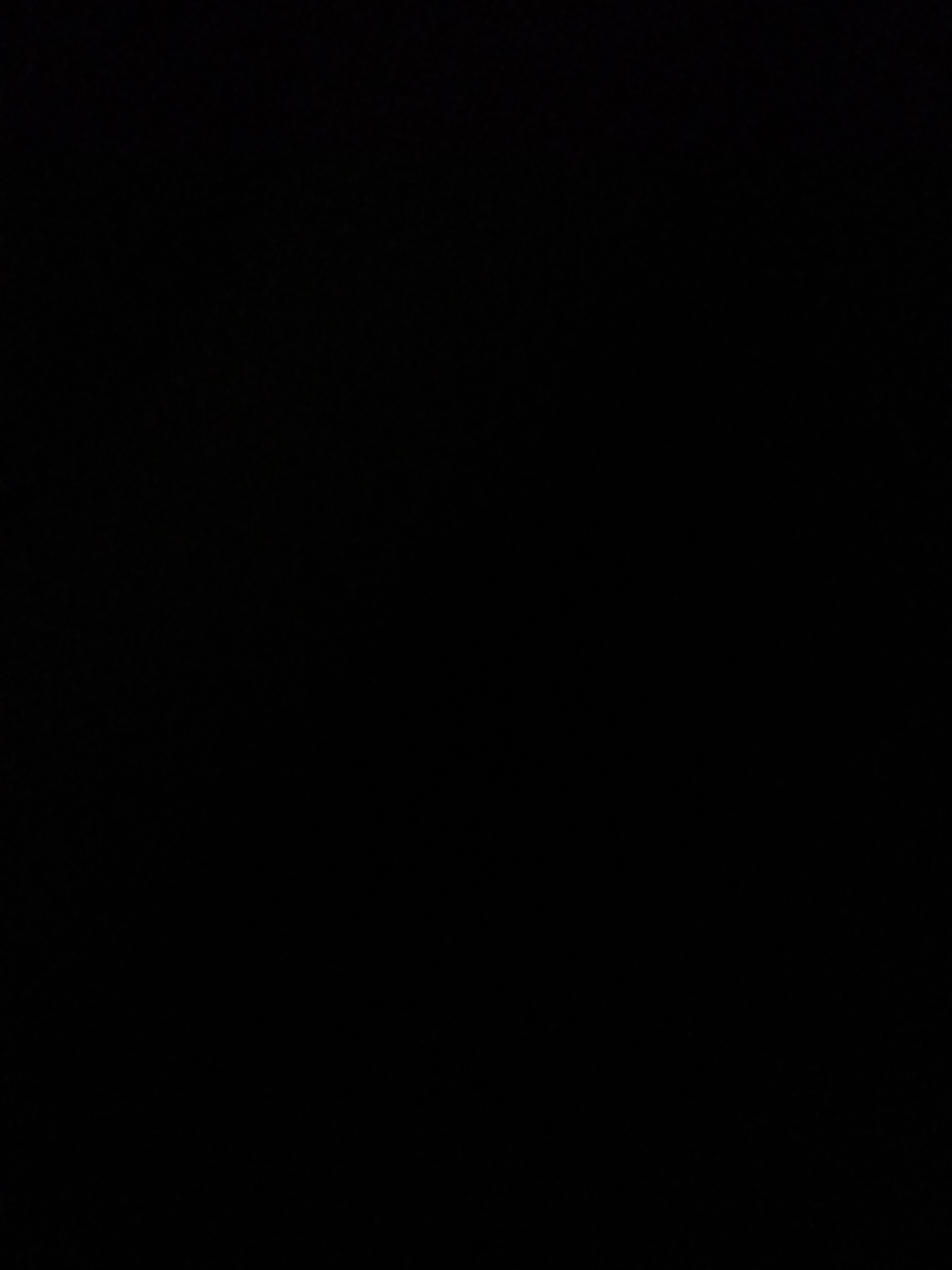 The media file is a completely black image, with no discernible subjects, objects, scene, activity, or details. It is impossible to determine the time of day, weather, location cues, or emotions. There is also no visible text.