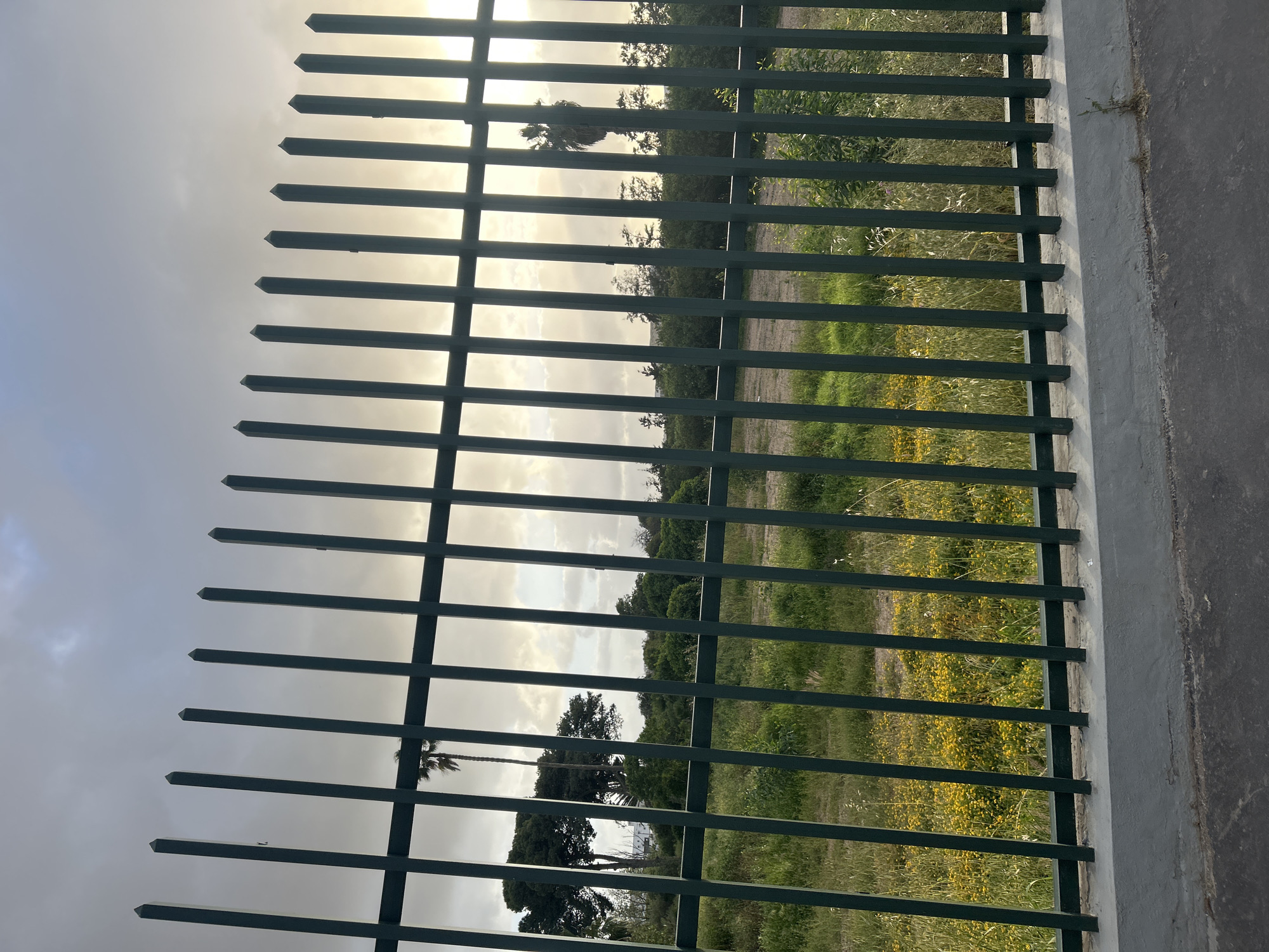 The image shows a view through a dark green metal fence, likely situated on the outskirts of Casablanca, Morocco, given the presence of palm trees and vegetation typical of the region. Beyond the fence, there's a field or grassy area with patches of yellow flowers. Some trees and other vegetation are visible in the distance. The sky is overcast with a muted light, suggesting it could be early morning or late afternoon. The fence is close to the camera, obscuring a clear view of the background landscape. The right side of the image shows part of a concrete structure where the fence is fixed. There are no people visible in the image. The setting suggests a park or undeveloped area on the periphery of an urban environment.