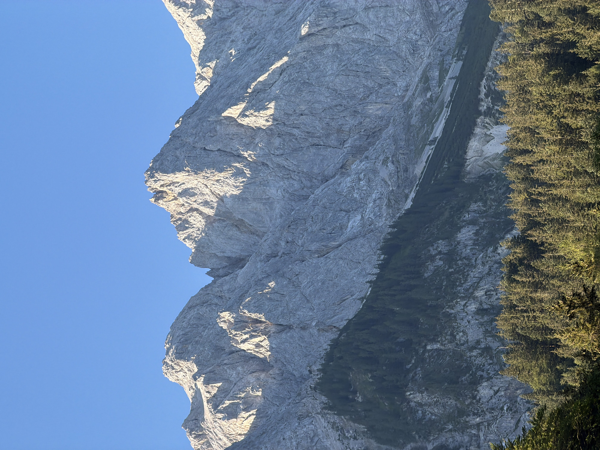 The image shows a majestic mountain range under a clear blue sky. The mountains are rocky and rugged, with sharp peaks and deep crevices. The lower slopes are covered in dense evergreen forest, which transitions into scree and bare rock higher up. The lighting suggests it is either early morning or late afternoon, as the sun casts long shadows across the mountain faces.
The scene is the Zugspitze Massif, the highest mountain in Germany, located near the municipality of Grainau. The foreground features a thick canopy of pine trees, characteristic of the alpine forests in the region. The mountains themselves are part of the Wetterstein Alps. There are no people or animals visible in the image. The environment is entirely natural, highlighting the dramatic topography of the Bavarian Alps.
