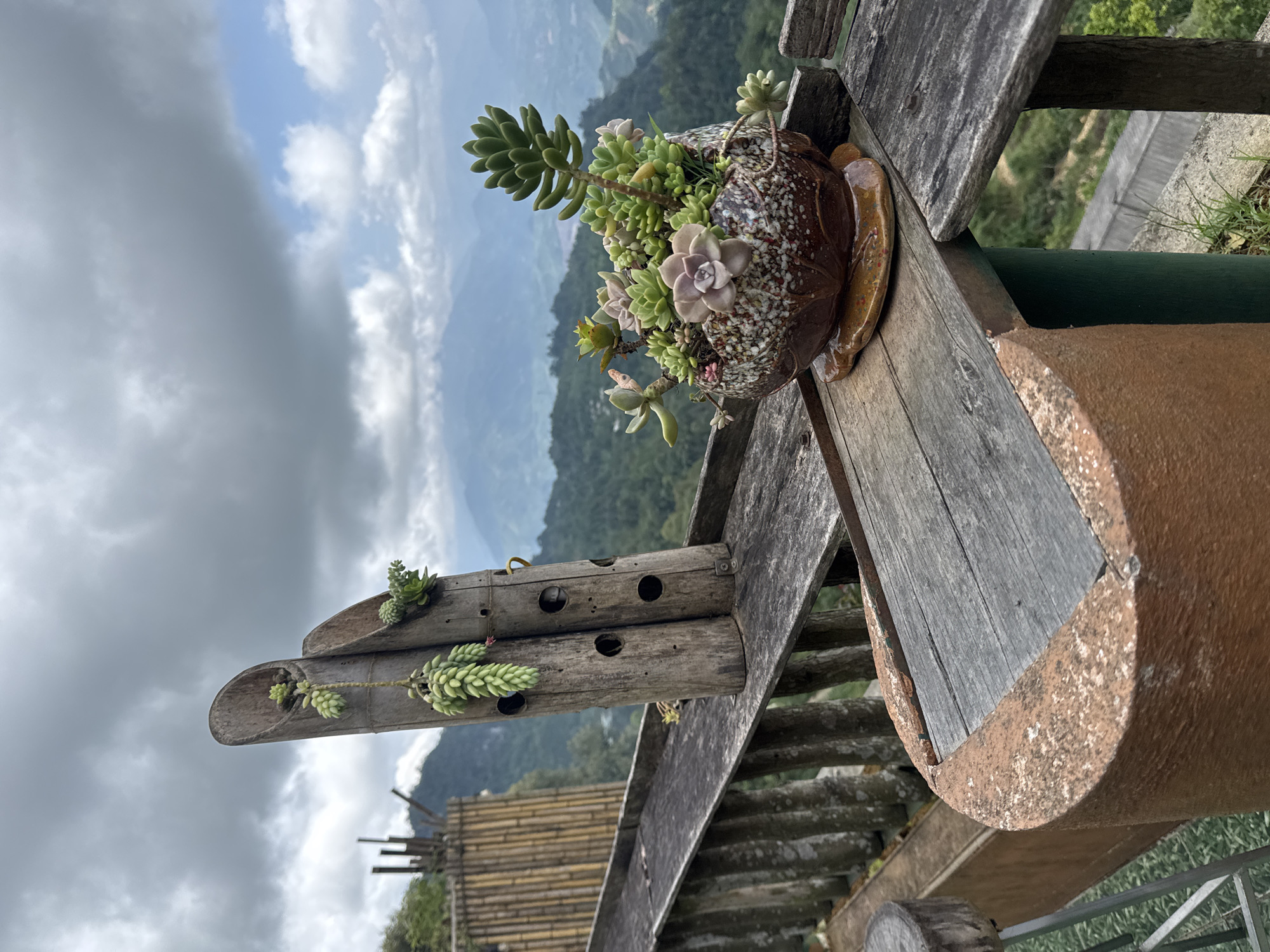The image depicts a succulent arrangement in a decorative pot, placed on a weathered wooden structure, possibly a railing or fence. In the background, a mountainous landscape is visible under a cloudy sky.
The succulent arrangement appears to be thriving, with a variety of plant species including rosette-forming succulents and trailing succulents. The pot itself is ornately designed, with speckled brown and white glaze.
The wooden structure appears aged, with visible signs of weathering and wear. Bamboo structures are seen in the background.
Given the location of Suối Giàng, Vietnam, the mountainous landscape is likely part of the Hoang Lien Son mountain range. The cloudy sky suggests high humidity typical of mountainous regions in Southeast Asia.
