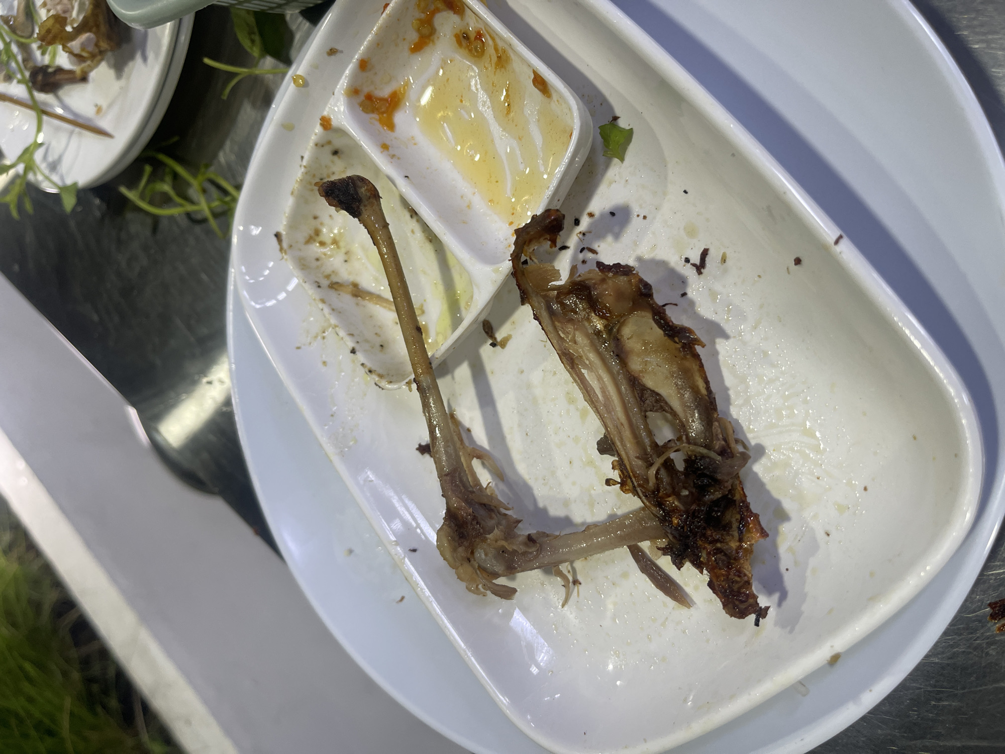 This image shows the remains of a meal on white plates. The primary subjects are the leftover bones and scraps of food. There are what appear to be chicken or duck bones, with some meat still attached, along with traces of sauce and other food particles. The food is arranged on two white dishes, one of which is a divided dish containing a yellowish sauce. The dishes are placed on a dark, reflective surface, possibly a table. In the background, some green foliage is visible, suggesting an outdoor or semi-outdoor setting, potentially a garden or a place with plants nearby. The lighting suggests it could be daytime, but it is difficult to determine the exact time of day. There are no people visible in the image. The overall scene depicts the aftermath of a meal, with the plates left uncleared. The location context of Banda Aceh, Indonesia, doesn't provide specific visual cues within the image itself, but it establishes the geographic setting for the meal. No text is visible in the image.