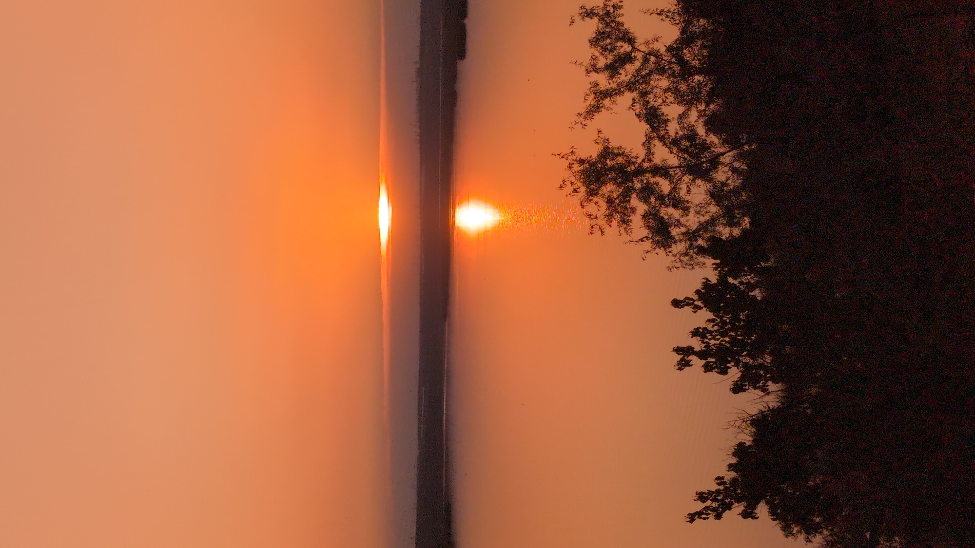 The image depicts a serene sunset over a body of water, likely a lake or river, near Kostiantynivka, Ukraine. The sky is a warm gradient of orange and pink, with the sun a bright, diffused disc peeking through a thin band of clouds near the horizon. The sun's reflection shimmers on the calm water's surface, creating a vibrant pathway of light. In the foreground, the dark silhouettes of trees and foliage frame the scene, their branches reaching towards the sky. The overall atmosphere is peaceful and tranquil, capturing the beauty of nature at dusk. There are no people or visible signs of human activity in the immediate vicinity of the water, suggesting a natural or undeveloped landscape. The environment appears to be a rural or semi-rural area on the outskirts of Kostiantynivka.