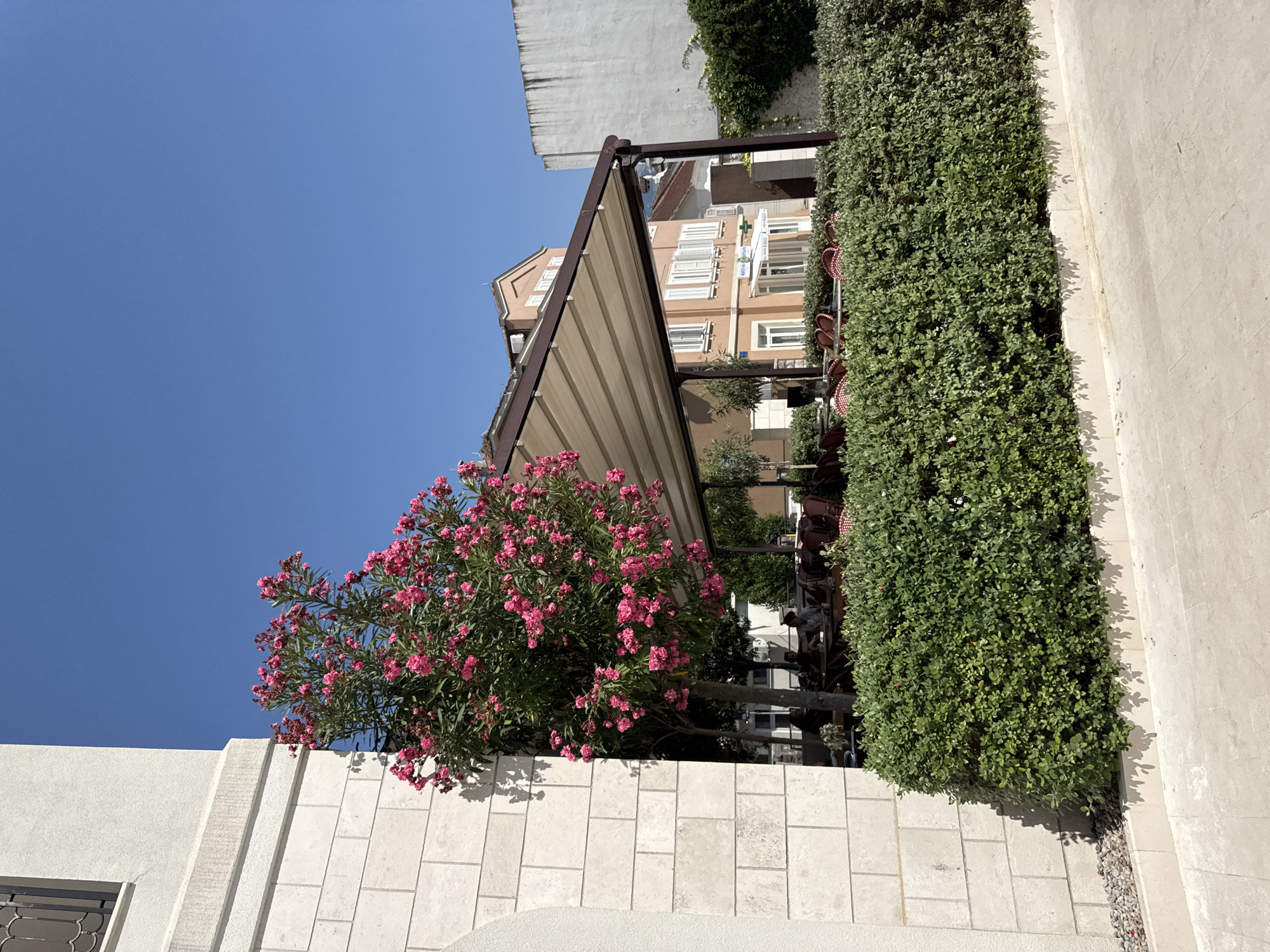 The photograph captures a sunny outdoor seating area in Tivat, Montenegro. In the foreground, a neatly trimmed green hedge runs horizontally across the frame, separating the seating area from a light-colored paved walkway. To the left, a portion of a building with light-colored stone block construction is visible, featuring a textured surface.
Above the hedge, a white retractable awning extends over a cluster of tables and chairs. Red-patterned tablecloths are visible on some of the tables. Behind the awning, several people are seated, engaged in conversation or dining. Trees with lush green foliage, interspersed with vibrant pink flowers, are positioned around the seating area.
In the background, several buildings with light brown and peach-colored facades are visible. These buildings have multi-story structures with white-shuttered windows. A white building with a rough texture stands to the right of the frame. The sky is a clear, bright blue, indicating fair weather. The overall scene suggests a pleasant outdoor dining or relaxation spot.