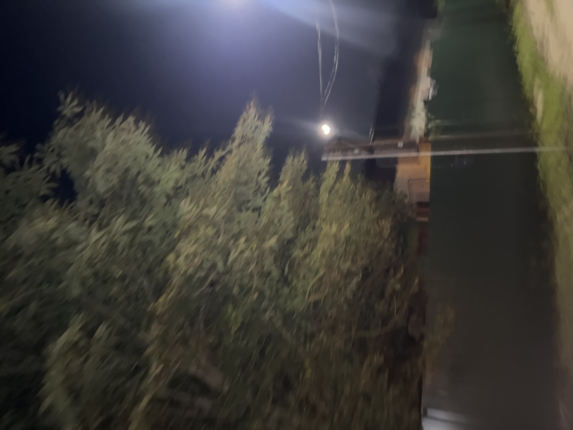 The image depicts a street scene at night. A large tree with dense foliage dominates the left side of the frame, its branches blurred by motion. A bright street light is visible in the upper right corner, casting a glow and lens flare. A wooden pole, likely a utility pole, stands in the middle ground, supporting electrical wires that stretch across the scene. Behind the pole, a dark green fence runs horizontally across the image. In the background, hints of structures with illuminated windows suggest buildings. The ground in the foreground appears to be a dirt path or road with some grass growing at the edges. The overall impression is a slightly disorienting, blurry snapshot of an outdoor urban environment at night.