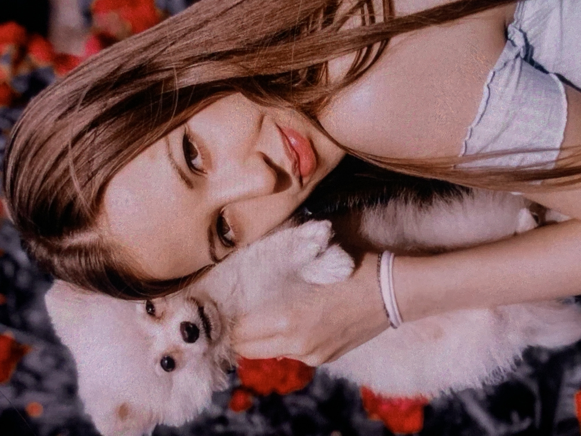 A young woman with long brown hair holds a small, fluffy white dog. The woman is looking at the camera with a slight smile, her head tilted. She is wearing a light-colored top. The dog is nestled in her arms, with its head peeking over her shoulder. The background appears to be a garden with red flowers and dark foliage. There is no visible indication of the city of Sevastopol, Ukraine.