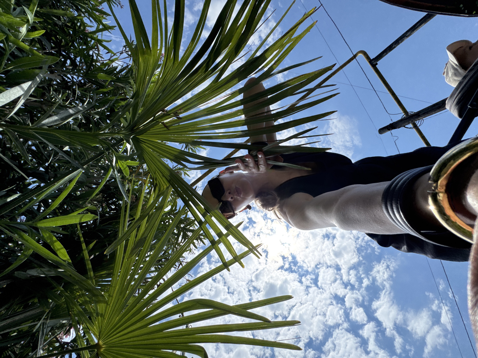 The image depicts a woman from a low-angle perspective, looking up at the sky through palm fronds. The woman is wearing sunglasses and a dark outfit, and she is holding her arm up, possibly taking a selfie. The background is a bright blue sky with fluffy white clouds. The scene appears to be outdoors, with lush green foliage framing the shot. There is no indication of the specific location in Sochi, Russia, within the image itself.