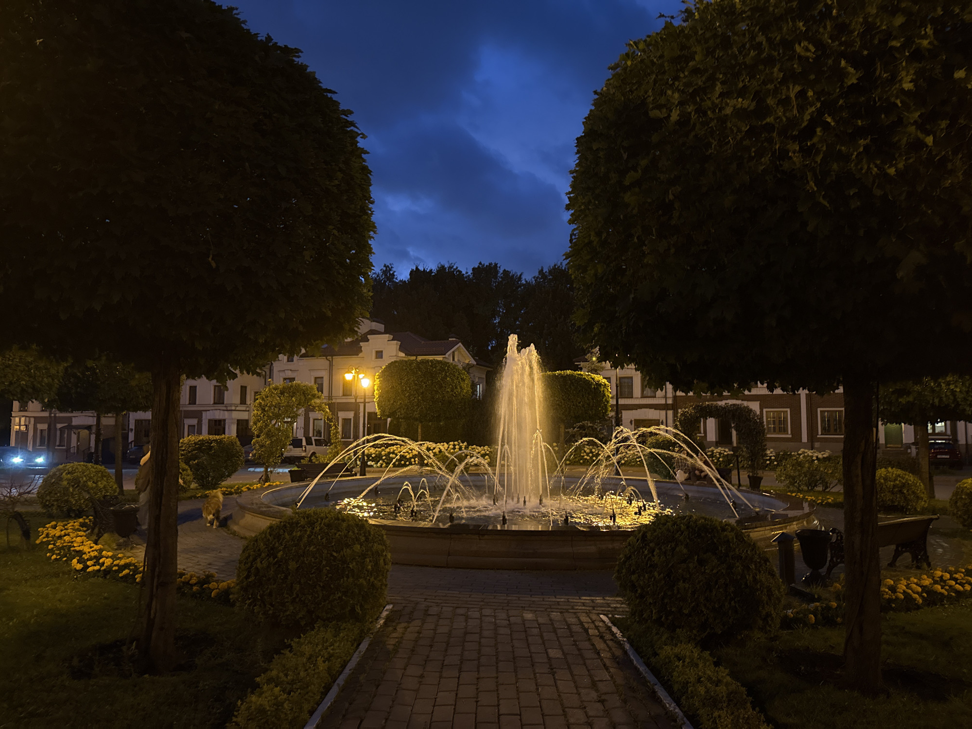 The image depicts a fountain in the city of Lopatino, Russia, at twilight. The fountain, illuminated by artificial lights, is centrally located in a paved area surrounded by flowerbeds and manicured bushes. Two large, symmetrically pruned trees frame the fountain on either side. In the background, buildings with lit windows and streetlights suggest a residential or commercial area. The sky is dark blue with visible clouds, indicating the transition from day to night. A dog is visible walking on the paved path near the fountain. The overall scene conveys a serene and tranquil atmosphere.