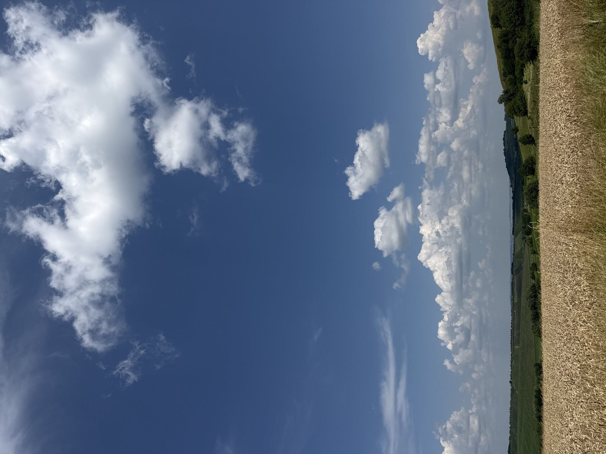 An outdoor vertical shot shows a field of golden wheat under a wide expanse of blue sky dotted with white, puffy clouds. The wheat field occupies the lower third of the image, stretching horizontally across the frame. Beyond the wheat, rolling green hills covered with trees and crops form the middle ground. The distant horizon is a blend of green land and a sliver of water, possibly a lake or river. The sky is a dominant feature, with several large cumulus clouds casting soft shadows and areas of bright illumination. The lighting suggests a sunny day, with the sun likely positioned high in the sky. There are no people or animals visible in the scene. The environment appears to be rural and agricultural.