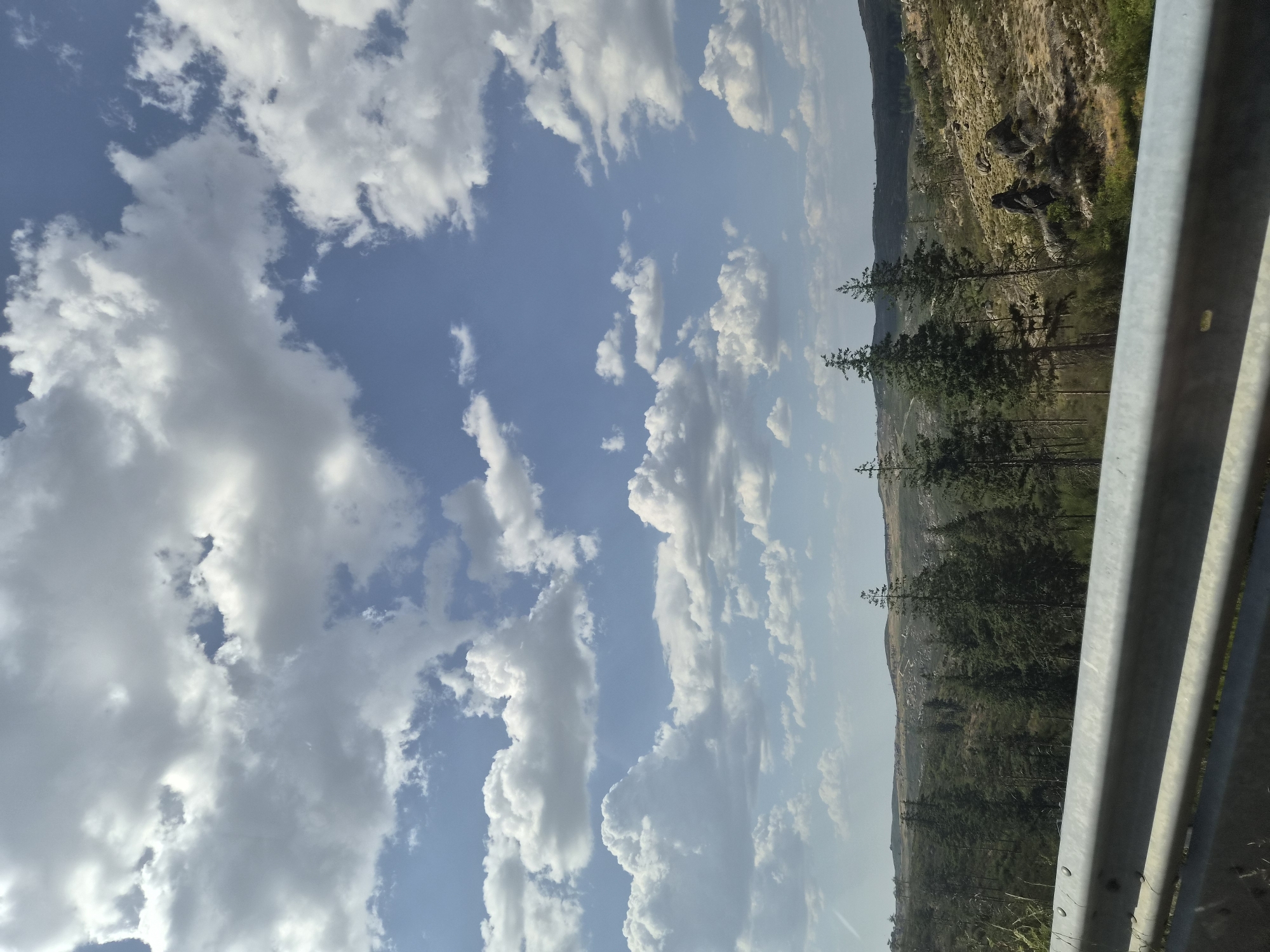This is a photograph taken from a roadside, looking out over a hilly landscape under a bright, partially cloudy sky. In the foreground, a silver metal guardrail runs horizontally across the bottom of the frame. Beyond the guardrail, the terrain slopes upward, covered in scattered evergreen trees of varying heights, interspersed with dry, yellowish vegetation and rocky outcrops. The sky is a vibrant blue, filled with numerous white, fluffy cumulus clouds, some of which are casting shadows on the landscape below. The scene suggests a rural, possibly mountainous, environment. The specific location is in Gouveia, Portugal, and the vantage point appears to be from a vehicle traveling along a road. There are no people or animals visible in the frame. The time of day appears to be daytime, given the bright sunlight.