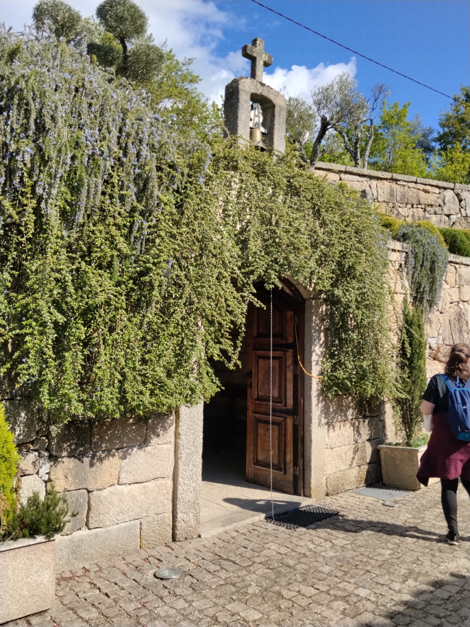 The image shows an entrance to a stone building in Tarouca, Portugal. The doorway is arched and the door is partially open, revealing a dark interior. A heavy curtain of cascading green foliage, likely rosemary with hints of blue flowers, frames the entrance. Above the building's wall, a stone cross tops a small structure containing a bell. The wall is constructed of roughly hewn stone blocks. A woman with a blue backpack walks to the right of the doorway. The ground is paved with cobblestones. Above the wall, olive trees are visible against a blue sky with some white clouds.