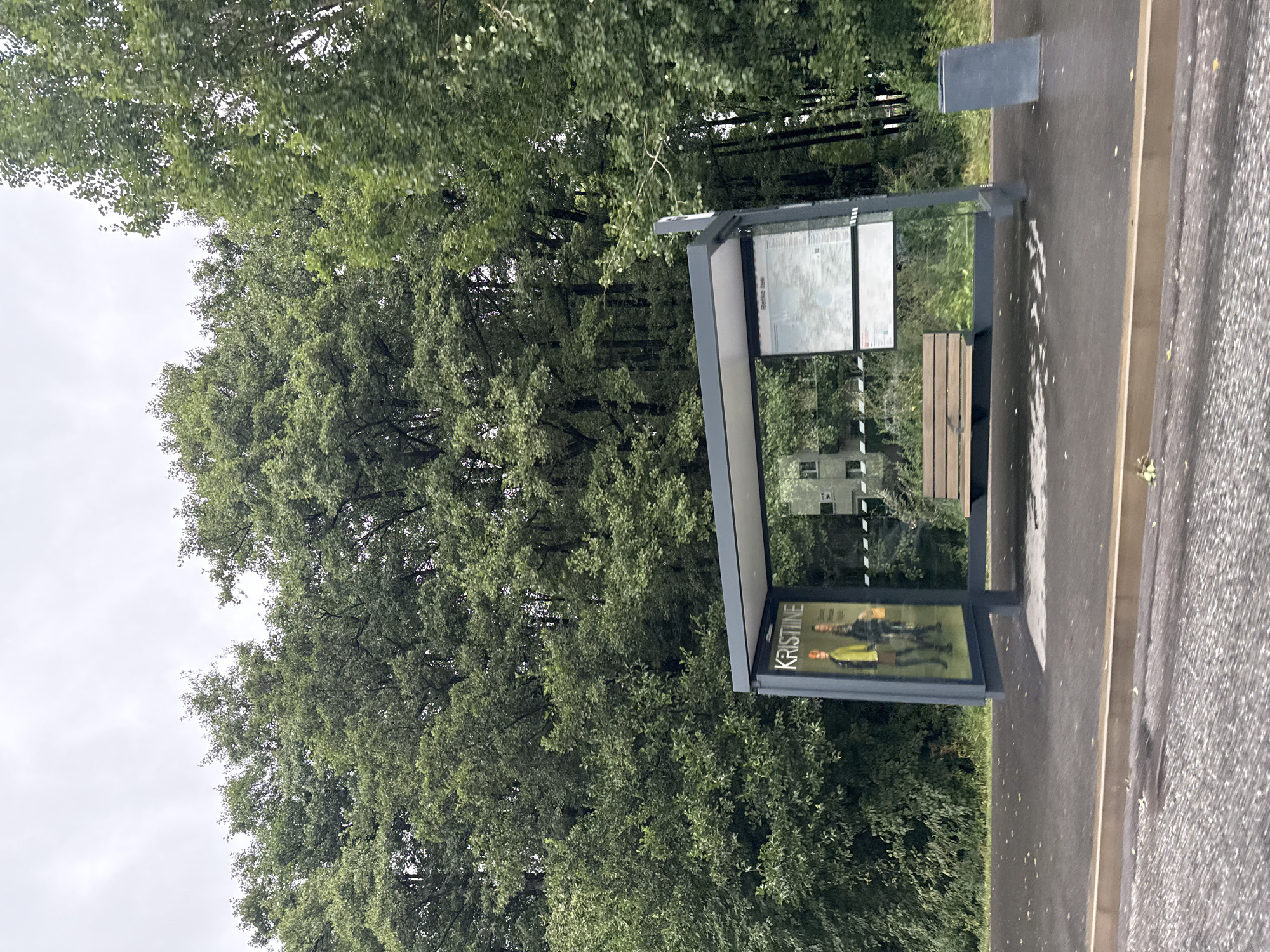 The image captures a bus stop in Tallinn, Estonia, on a cloudy day. The bus stop features a modern, gray shelter with a transparent roof and sides. A wooden bench is situated inside the shelter, and a public information display board is mounted on a pole. To the right of the shelter, a gray trash bin is visible. The ground surface is wet, suggesting recent rain. Behind the bus stop, a dense forest of green trees dominates the landscape, with a building partially visible through the foliage. A poster with the text "KRISTINE" and images of two people is displayed on the side of the shelter. The road in the foreground appears wet and slightly reflective.