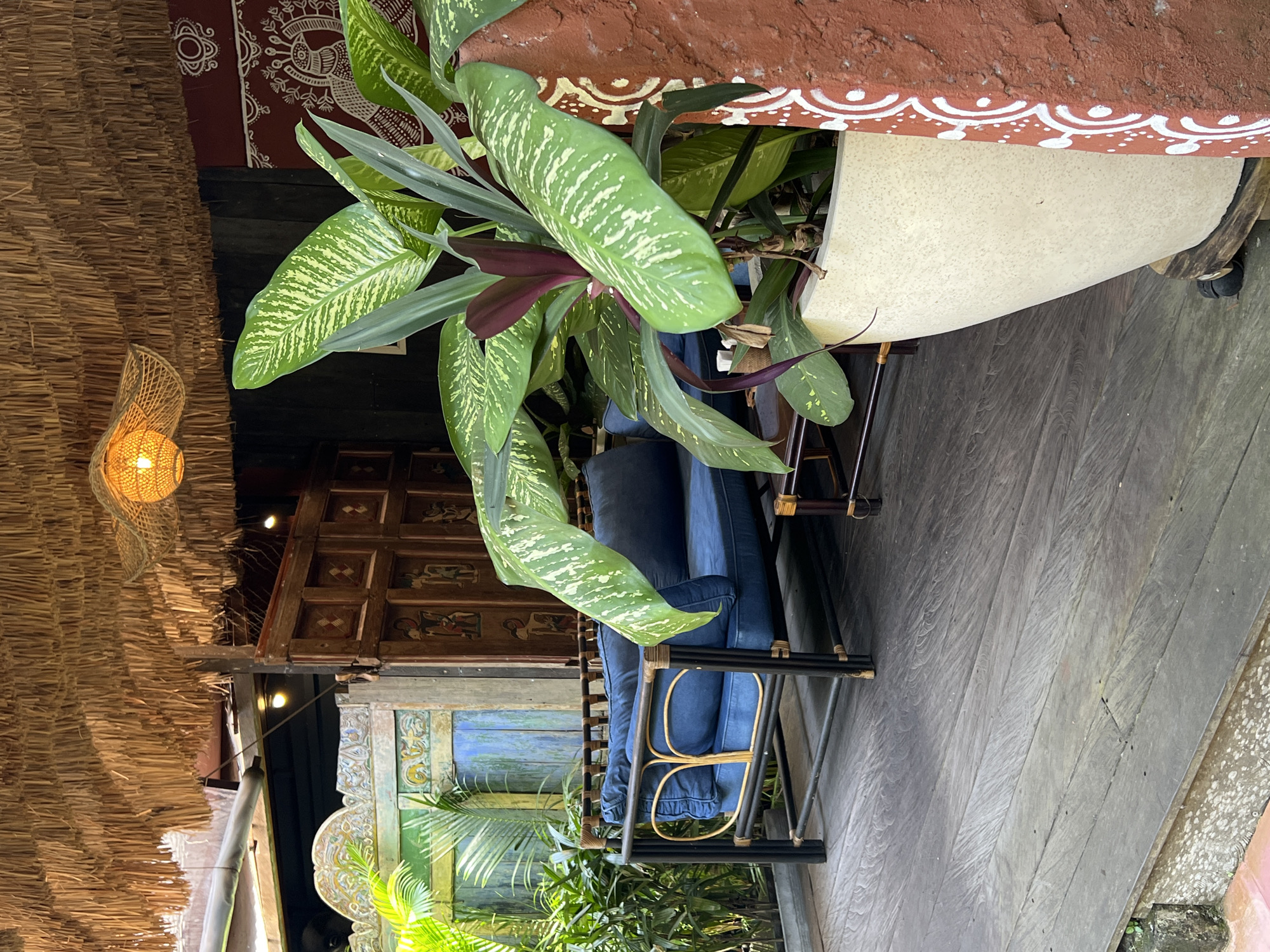 This indoor/outdoor scene, likely in Peliatan, Indonesia, shows a patio or covered area. The floor is made of grey wooden planks. A blue cushioned couch with a black and rattan frame is partially visible. A large potted plant dominates the upper portion of the frame, featuring broad, variegated green leaves and some burgundy foliage. Above, a thatched roof hangs over the scene, with a woven light fixture hanging from it. In the background, there is a wall with decorative paintings, and an intricately carved wooden door or screen. The overall impression is of a tropical, bohemian-style space.