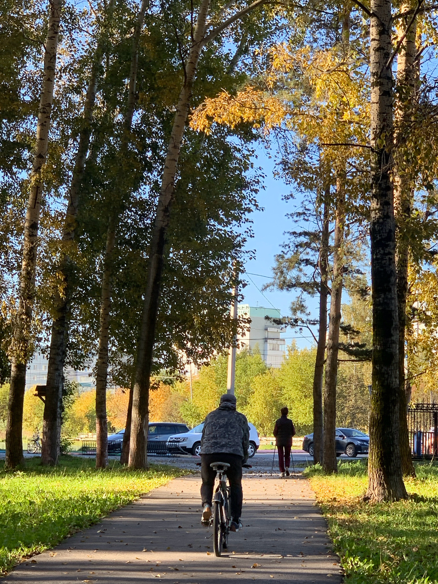 In Prokopyevsk, Russia, a cyclist with a dark patterned jacket and dark pants rides a bicycle away from the camera on a paved path in a park. To the right of the cyclist, a person with a dark jacket and red pants walks with trekking poles away from the camera on the same path. The path is lined with green grass on the left and trees with yellow and green leaves on both sides. In the background, cars are parked on the side of the road, and a modern building complex is visible. The sun casts long shadows on the path, indicating it is either early morning or late afternoon.