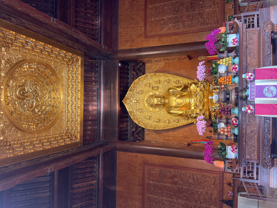 The image displays the interior of a Buddhist temple in Yanta District, China. A large, golden Buddha statue sits centrally on a multi-layered golden lotus pedestal, presenting a meditative posture with its right hand raised in a gesture. An ornate, golden mandorla behind the statue features numerous smaller Buddha figures in relief.
In front of the statue, a dark, intricately carved wooden altar serves as a platform for offerings. These offerings include symmetrically arranged stacks of fresh fruits such as red peaches, yellow and red apples, and oranges. Various floral arrangements of pink and purple orchids in white pots are also present. Bronze incense burners and other ceremonial vessels are placed amidst the offerings. The front of the altar is draped with red and purple fabric coverings, adorned with symbolic motifs.
The temple's interior walls are paneled in dark wood, featuring extensive bas-relief carvings depicting narrative scenes or figures. The ceiling is a multi-tiered, highly ornate structure, entirely gilded with intricate patterns and a central circular medallion showcasing a detailed dragon motif. Dark wooden beams and pillars support the ceiling structure, completing the traditional architectural aesthetic. No individuals are visible within the captured scene.