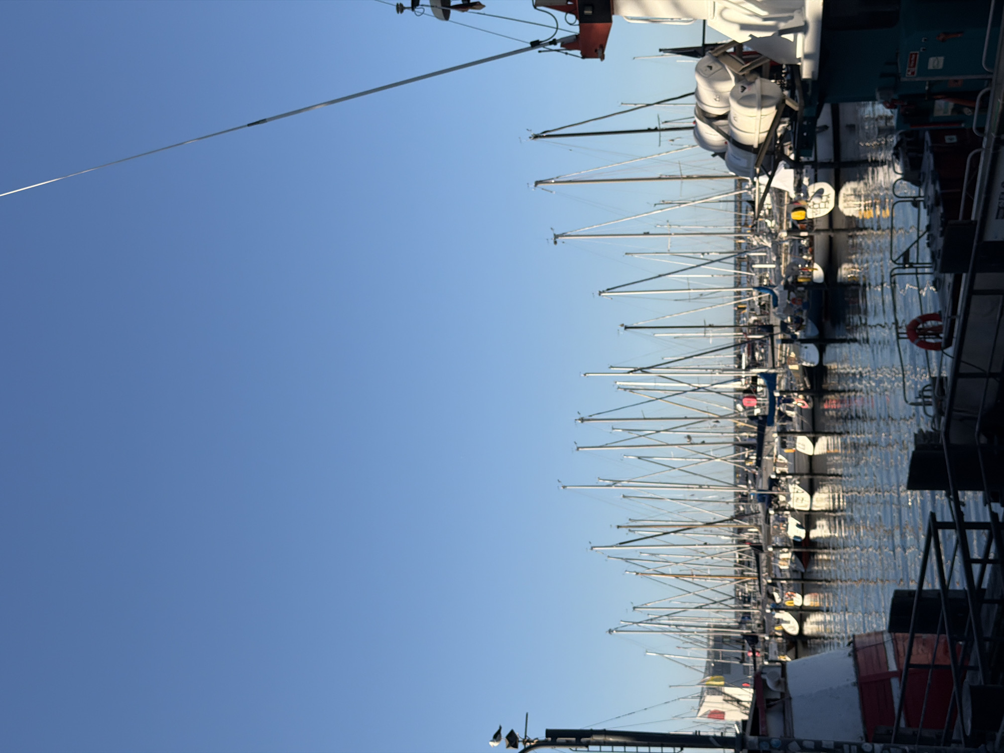 The image depicts a marina in Rostock, Germany, under a clear blue sky. The foreground features a dark metal railing and a portion of a boat with red and white detailing. The water in the foreground is calm and reflects the sky and surrounding objects. In the mid-ground and background, numerous sailboats are docked. Their masts are closely spaced, creating a dense forest of vertical lines against the sky. Some boats have their sails furled, while others appear to be empty. A few larger vessels, possibly ferries or barges, are also present in the marina. The overall atmosphere is one of a quiet, well-ordered harbor.
