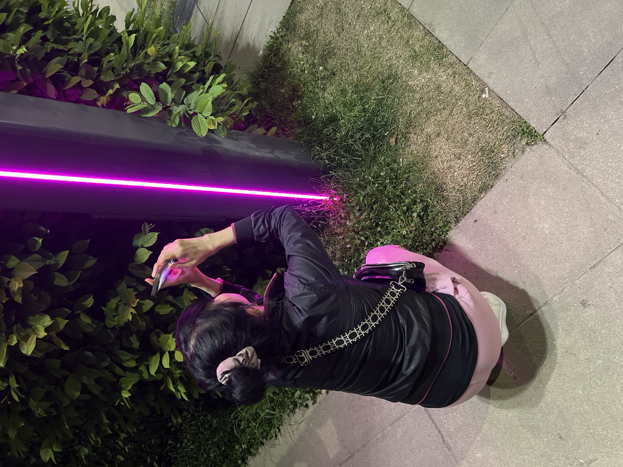 A medium, top-down shot shows a woman crouched next to a planter, taking a photo with her mobile phone. The scene appears to be an outdoor setting, possibly a plaza or pedestrian area, judging from the stone paving on either side. The planter is a modern black rectangular structure containing foliage. It features a linear, horizontal pink LED light along its upper edge.
The woman is dressed in a dark jacket, light pink pants, and white shoes. She has black hair tied in a bun. A crossbody bag with a silver chain is slung over her shoulder. She is holding her phone up, seemingly capturing the pink light and the plants. The background consists of grass and the stone paving. The lighting suggests it is dusk or nighttime. There is no available information to confirm the location of the photo is the city of Krasnodar, Russia.
