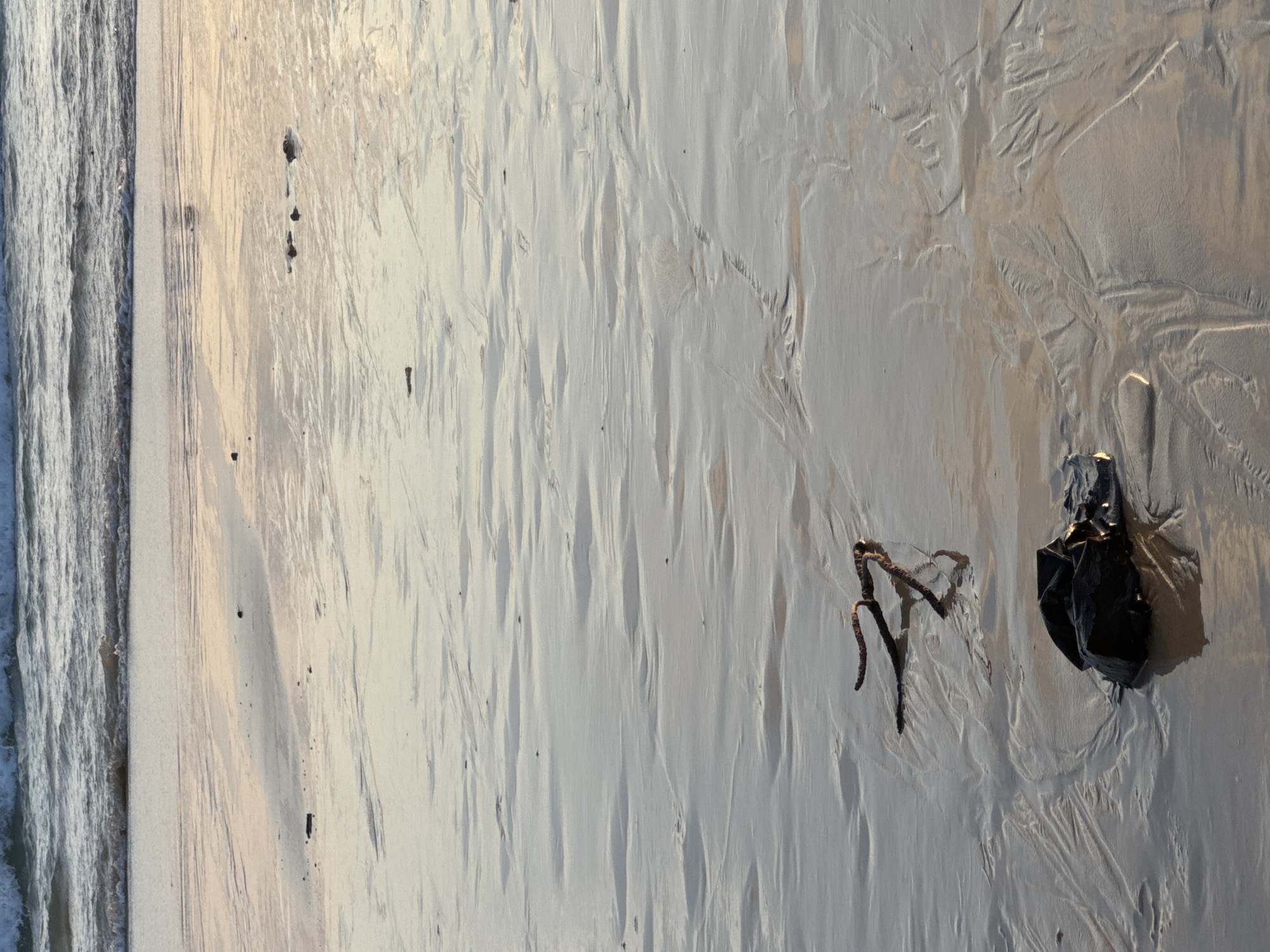 The image depicts a sandy beach at low tide in Karon, Thailand. The foreground is dominated by wet sand with intricate ripple patterns created by receding water. A dark, amorphous object, possibly a piece of debris or seaweed, rests on the sand in the lower right quadrant. Above and slightly to the left of this object is a piece of brown, gnarled driftwood. In the background, gentle waves are breaking on the shore, illuminated by the soft, warm light of what appears to be sunrise or sunset. The overall atmosphere is serene and natural. There are no people visible in the frame.
