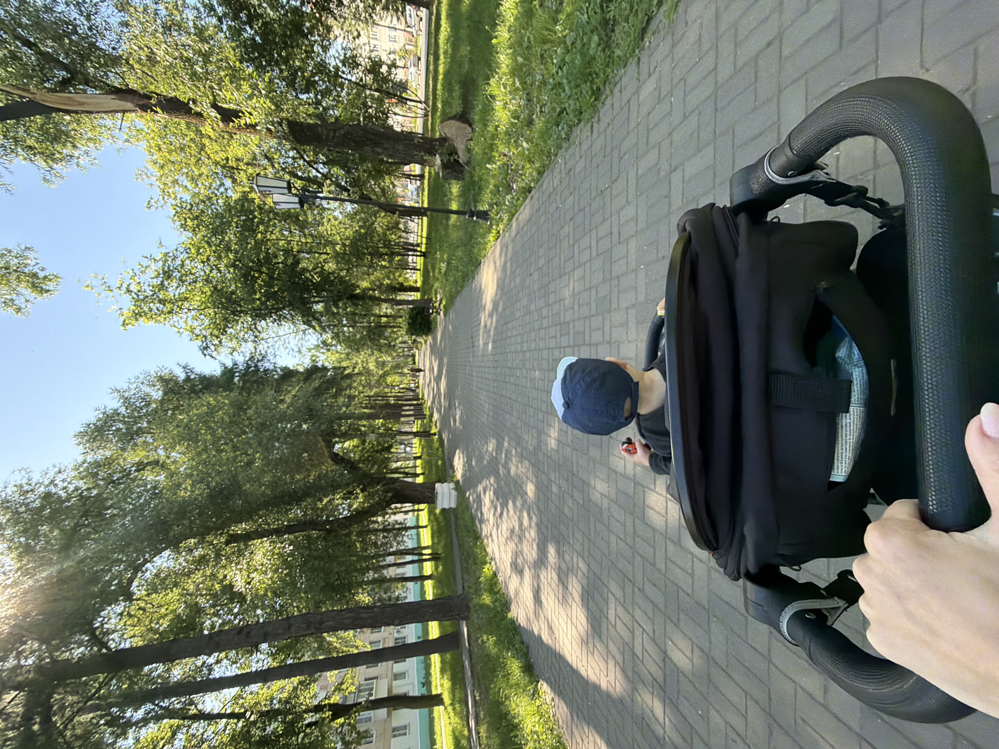 A first-person perspective shot shows a hand gripping the handle of a black stroller on a sunny day. A young child wearing a blue cap and black shirt is seated in the stroller, holding a small orange toy. They are on a paved walkway lined with green grass and mature trees. In the background, there are apartment buildings, a lamppost, and a few cars. The scene is set in a park or a tree-lined avenue in the city of Chaikovsky, Russia. The sun casts dappled shadows on the walkway, suggesting it is late afternoon.