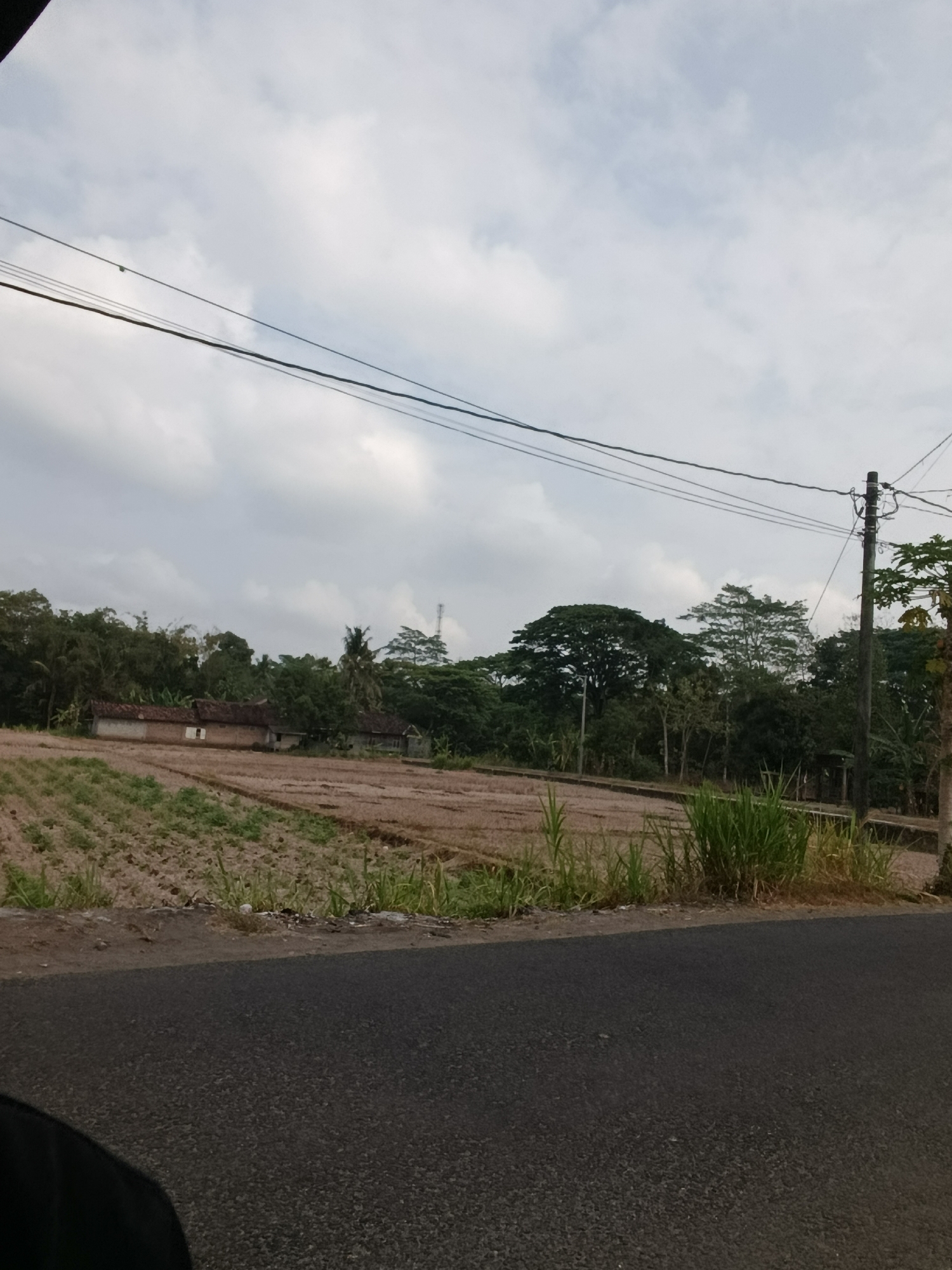 In the city of Sedayu, Indonesia, an overcast sky looms above a rural landscape. The foreground features a dark asphalt road. Beyond the road lies a fallow field, with rows of dry soil suggesting recent cultivation. The middle ground is dominated by a line of trees and foliage, interspersed with several traditional Indonesian houses that feature tiled roofs. A utility pole stands to the right of the houses, with power lines stretching across the frame. In the distance, more trees and a cell tower can be seen.