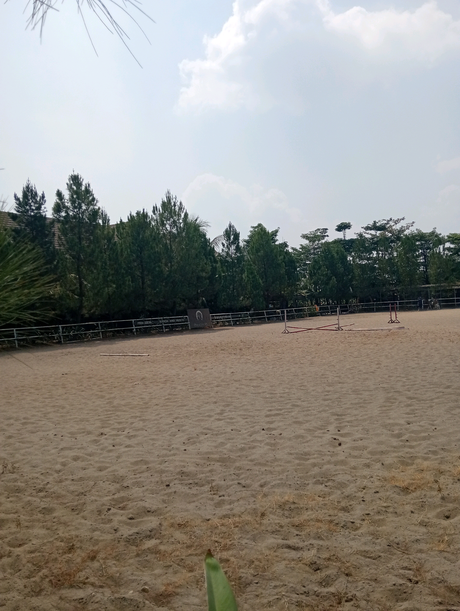 The image shows an outdoor equestrian arena with a sandy ground. In the background, a white fence separates the arena from a line of trees and some buildings. There are several jump obstacles set up in the arena, including red and white standards with poles. The sky is overcast with scattered clouds. The location is identified by signage in the background as "PRINGSEWU RANCH AND RECREO PRINGSEWU EQUESSTRIAN". There are no people clearly visible in the foreground or mid-ground of the image.