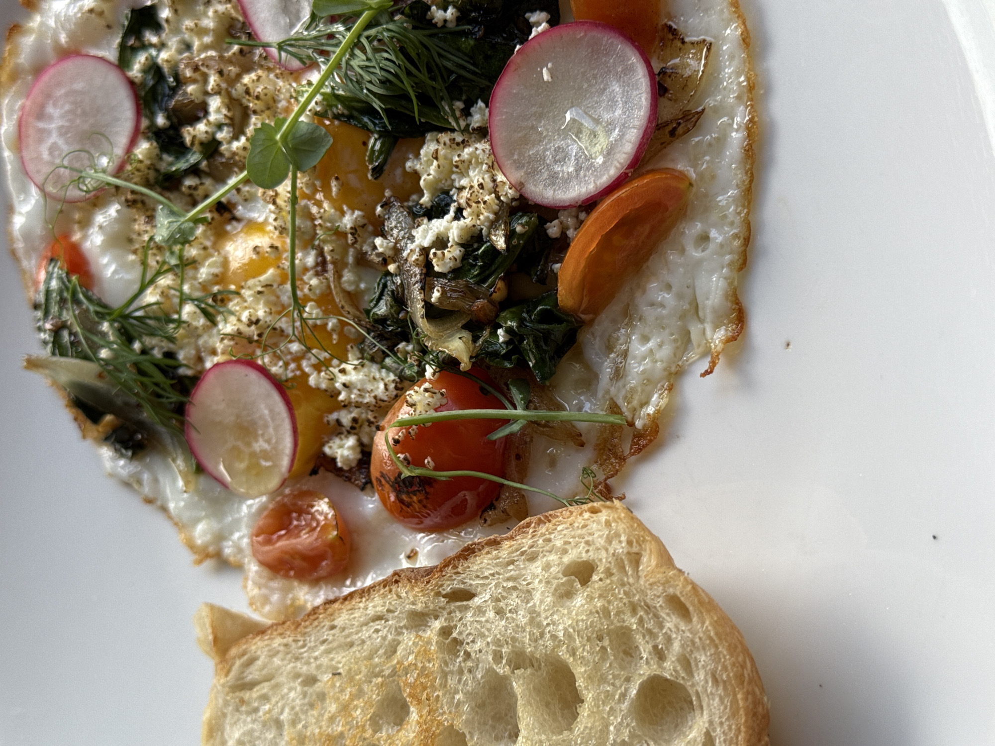 A top-down shot depicts a plate with a fried egg, garnished with sliced radishes, greens, and cherry tomatoes, accompanied by a slice of toasted bread. The food is set against a plain white background. The location is Unknown, Unknown.