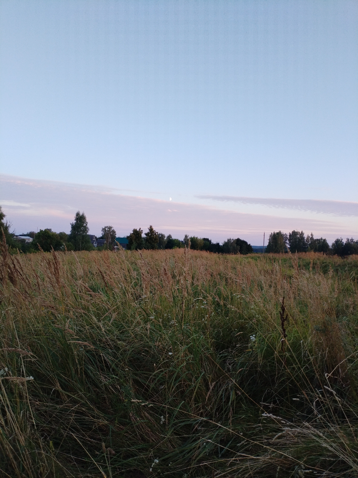 The image shows a view of a grassy field with tall dry grass in the foreground. In the middle ground, there is a line of trees and some houses with roofs visible, suggesting a rural or suburban setting. The sky above is a pale blue with some faint pinkish clouds, indicating it might be dawn or dusk. A small crescent moon is visible in the sky to the right. The overall impression is of a serene, natural landscape on the outskirts of Bialynichy, Belarus. There are no people or specific actions depicted in the image.