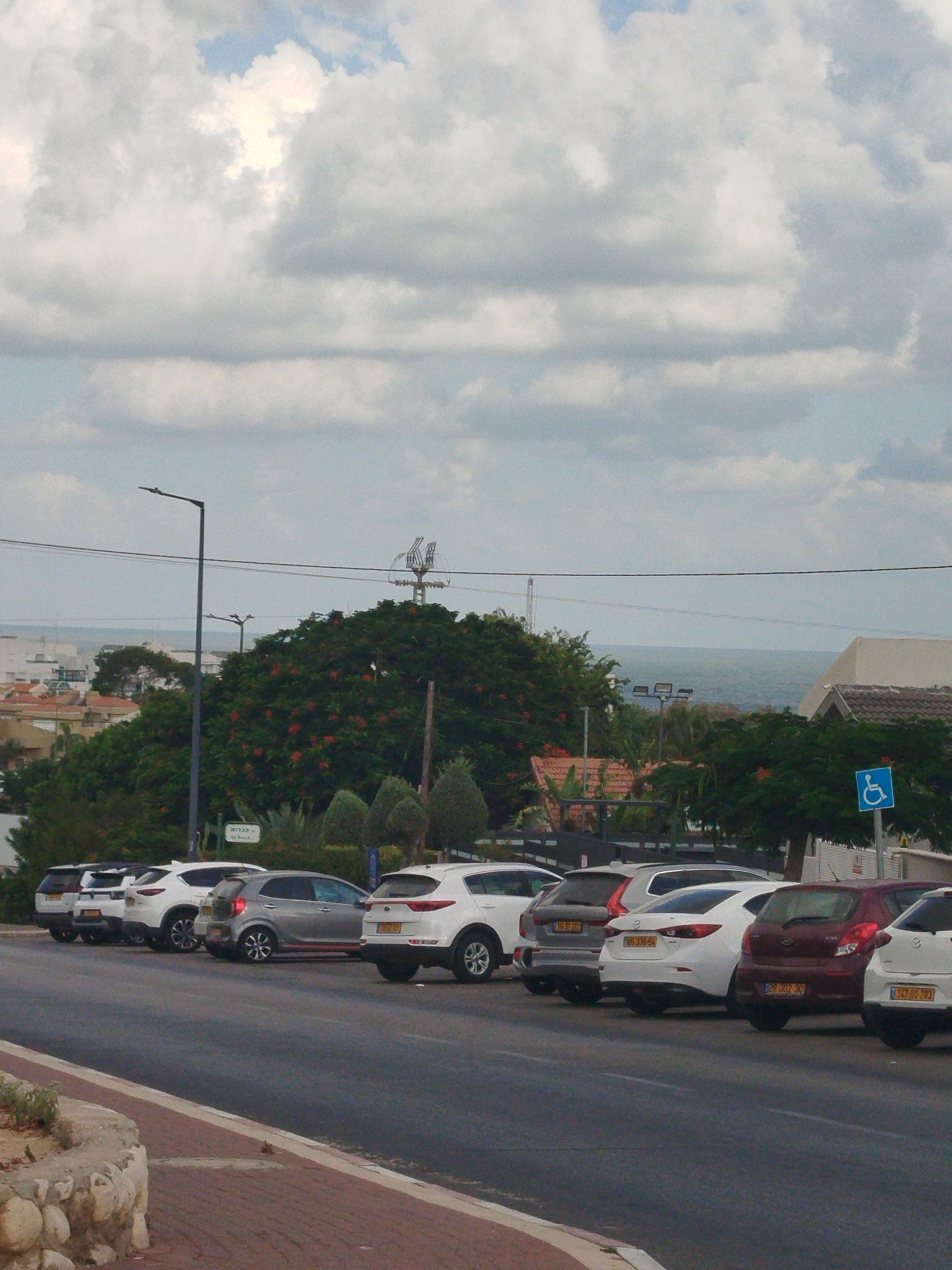 In Ashkelon, Israel, a street scene unfolds under a cloudy sky, with a view extending towards the sea. A row of parked cars lines the asphalt road, including a silver Kia Picanto with red trim, a white Hyundai Kona, and a maroon Hyundai i20. A blue handicap parking sign is visible on the right side of the frame. Lush green trees with red blossoms dominate the mid-ground, partially obscuring buildings with red-tiled roofs. A street lamp stands prominently on the left, and power lines crisscross the sky. In the distance, the calm blue sea meets the horizon under a gray, overcast sky. The foreground features a pedestrian walkway with a stone border.