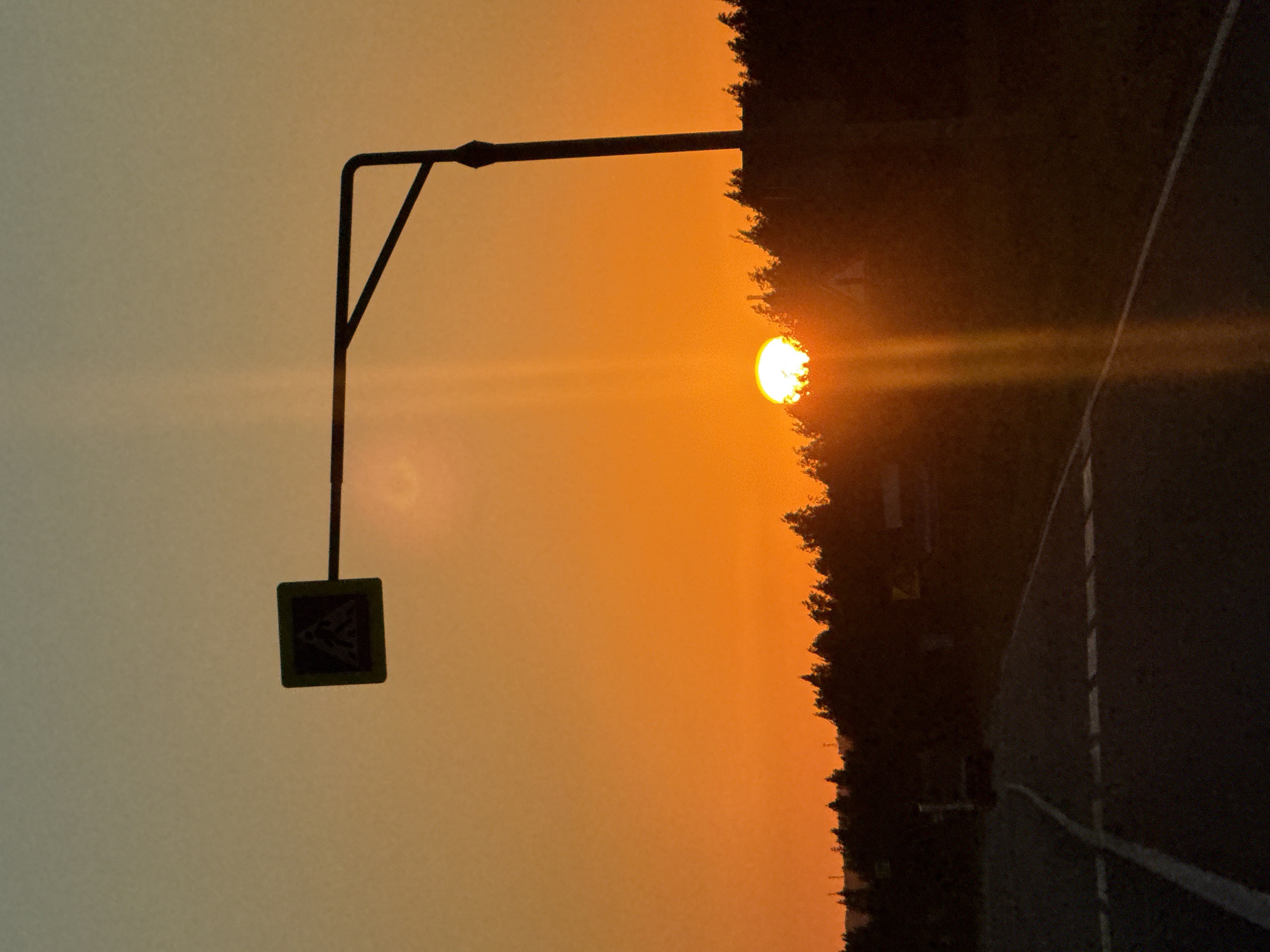 The image depicts a sunset scene on a road in Morozovka, Russia. The foreground features a dark asphalt road with white markings, suggesting it's a highway or main road. To the left, a white line delineates the edge of the road. In the mid-ground, a silhouette of trees forms a dark line against the vibrant orange and yellow sky. The sun, a bright, glowing orb, is partially obscured by the trees on the right side of the image, casting a strong beam of light vertically upwards. A pedestrian crossing sign on a pole is silhouetted against the sky, positioned to the left of the sun. The sky transitions from a light yellow at the horizon to a pale blue-grey at the top. A single vehicle is faintly visible on the road in the distance to the left. The overall impression is one of a rural or roadside setting during the golden hour.