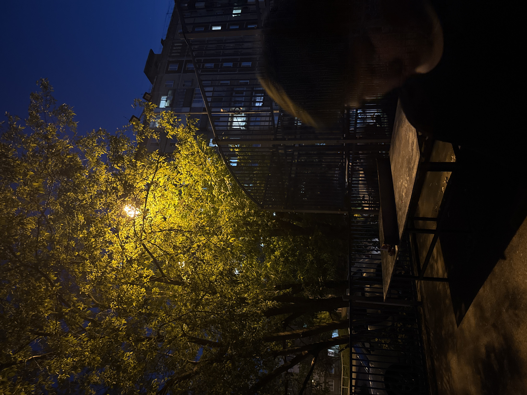 A nighttime outdoor scene in Perm, Russia, featuring a tree illuminated by a street light. To the right is a dark structure with railings and what appears to be a table or platform. In the background, a building with illuminated windows is visible. The sky is a deep blue. The overall impression is one of urban stillness at night.