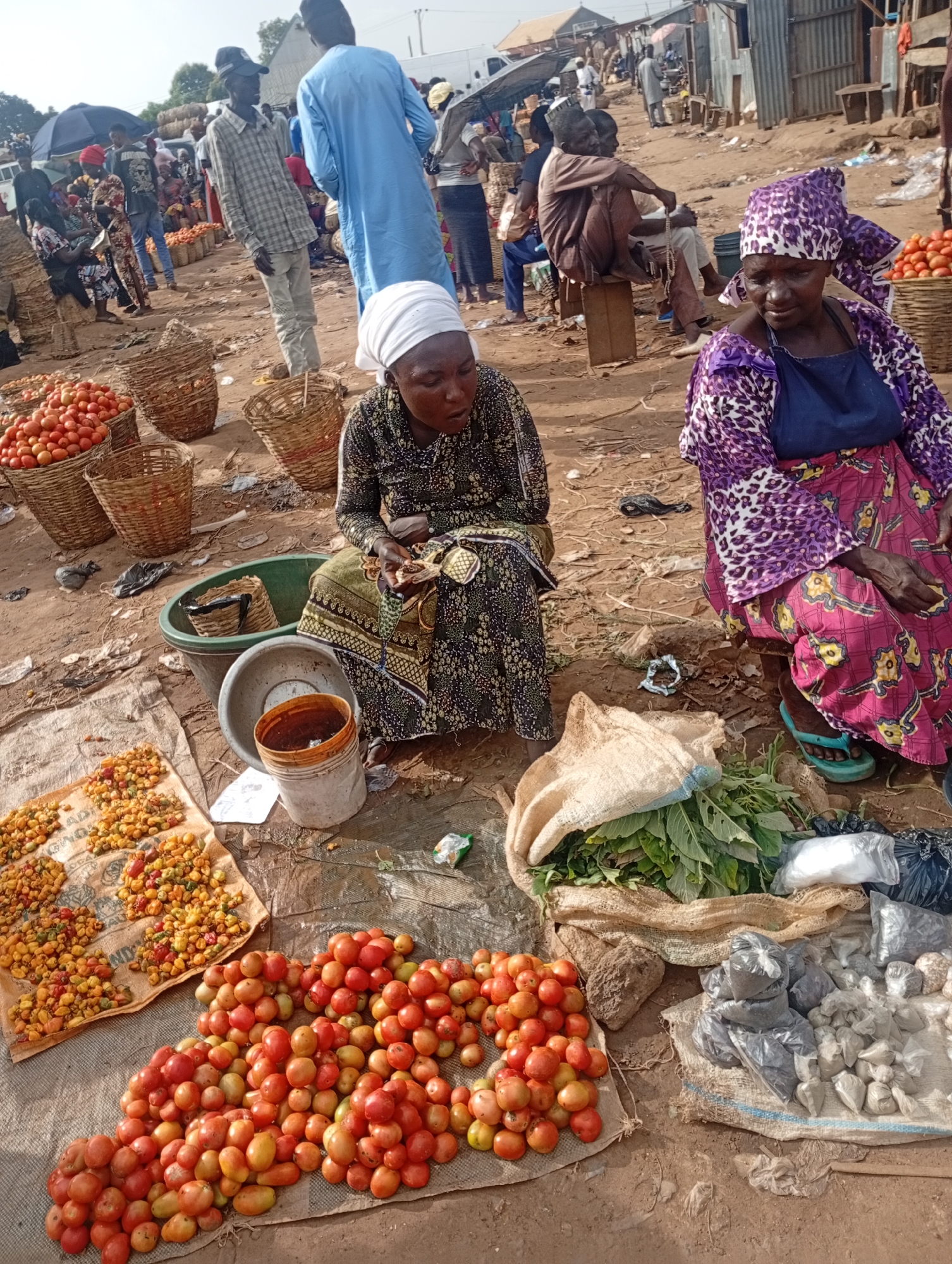 This media file depicts an outdoor market scene in Rafin Par, Nigeria. In the foreground, two women are seated on the ground, surrounded by produce for sale. One woman, wearing a white headscarf and a patterned dress, is tending to items on a mat. The other woman, adorned in a vibrant purple and white patterned headscarf and a matching outfit with a blue apron, is also seated.
Various items are displayed for sale, including large baskets overflowing with ripe red tomatoes. To the left, a mat is spread with piles of small, colorful fruits or vegetables, appearing dried or sun-cured. In front of the seated women, there are bowls and buckets containing liquids and other items. Bags of green leafy vegetables and smaller bags filled with what appear to be spices or dried goods are also visible. The ground is dirt, typical of an outdoor market.
In the background, more people are present, some standing and others seated, suggesting a bustling marketplace. Baskets and stalls are scattered throughout, and various structures, possibly shops or temporary shelters, line the background. The time of day appears to be daytime, with clear, sunny weather. The overall atmosphere suggests a typical day of commerce in a Nigerian market. There is no visible text in the image.