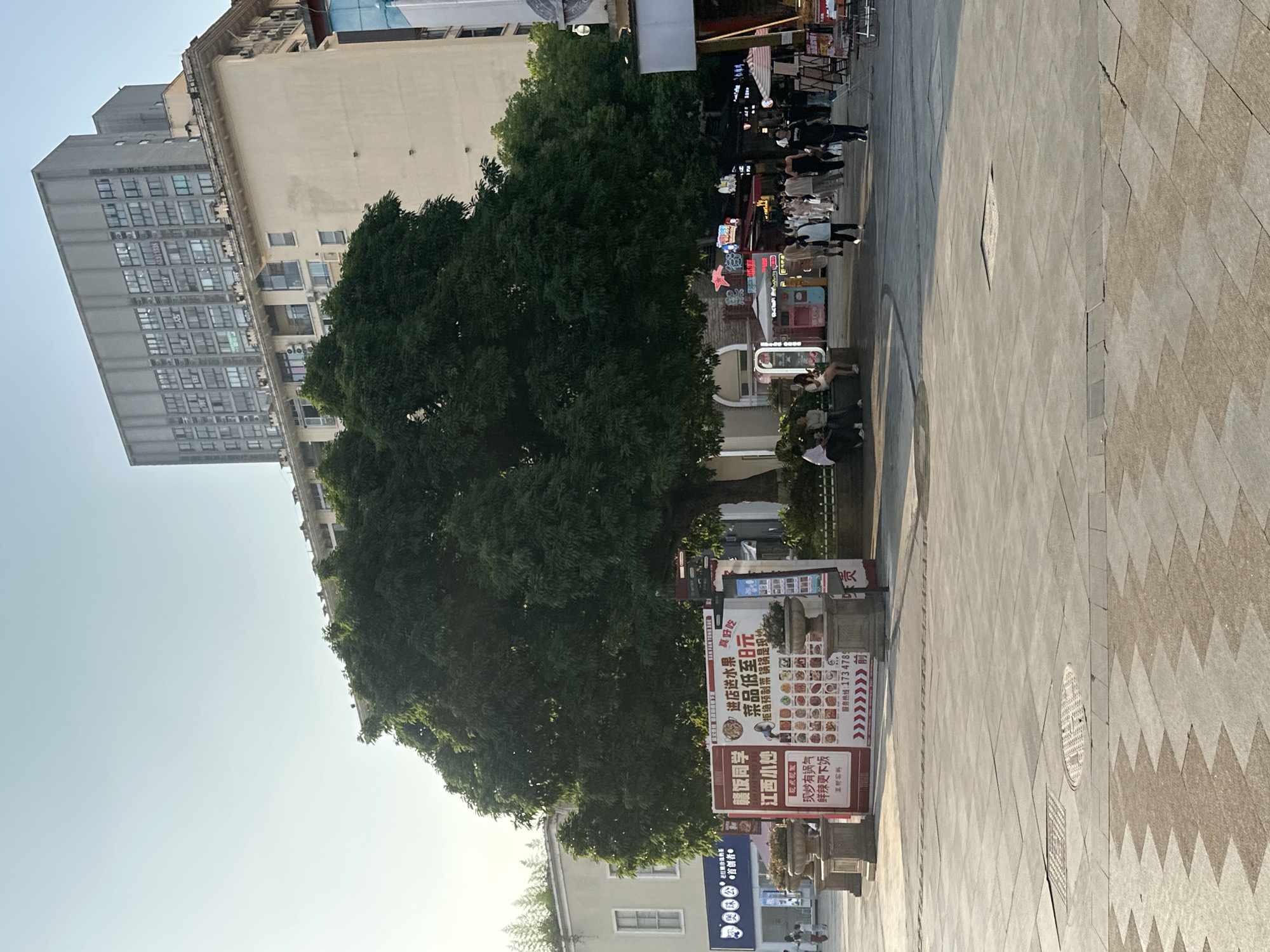 The image captures a bustling street scene in Chongqing High-tech Zone, China, characterized by urban architecture, a large tree, and a paved pedestrian area. On the left, a tall, multi-story grey building with numerous windows and air conditioning units stands prominently, alongside a lighter-colored building with older architectural details. A large, lush green tree dominates the midground, providing shade to the area.
On the right, a wide pedestrian walkway features a pattern of light grey rectangular tiles interspersed with a distinctive darker zigzag design. Several people are visible on this path, walking and gathering near commercial establishments. One individual is seated on a bench beneath the tree.
The scene appears to be a lively commercial or public thoroughfare, with various shopfronts and stalls adorned with colorful signs and neon lights. The clear sky and soft, bright sunlight indicate it is daytime, likely late morning or afternoon.
A prominent red and white sign advertises a food establishment named "赣饭同学" (Gan Fan Classmate), specializing in "江西小炒" (Jiangxi small stir-fry). The sign highlights promotions like "进店送水果 真好吃" (Enter the store to receive fruit, really delicious) and mentions "菜品低至8元" (Dishes as low as 8 Yuan). It emphasizes freshness, stating "拒绝预制菜锅锅是现炒" (Refuse pre-made dishes, every pot is freshly stir-fried) and "现点现做 现炒有锅气 鲜辣更下饭" (Ordered and made on the spot, freshly stir-fried with 'wok hei,' fresh and spicy, goes well with rice). A service hotline "1734789..." and directional arrows pointing "前" (Forward) are also visible.