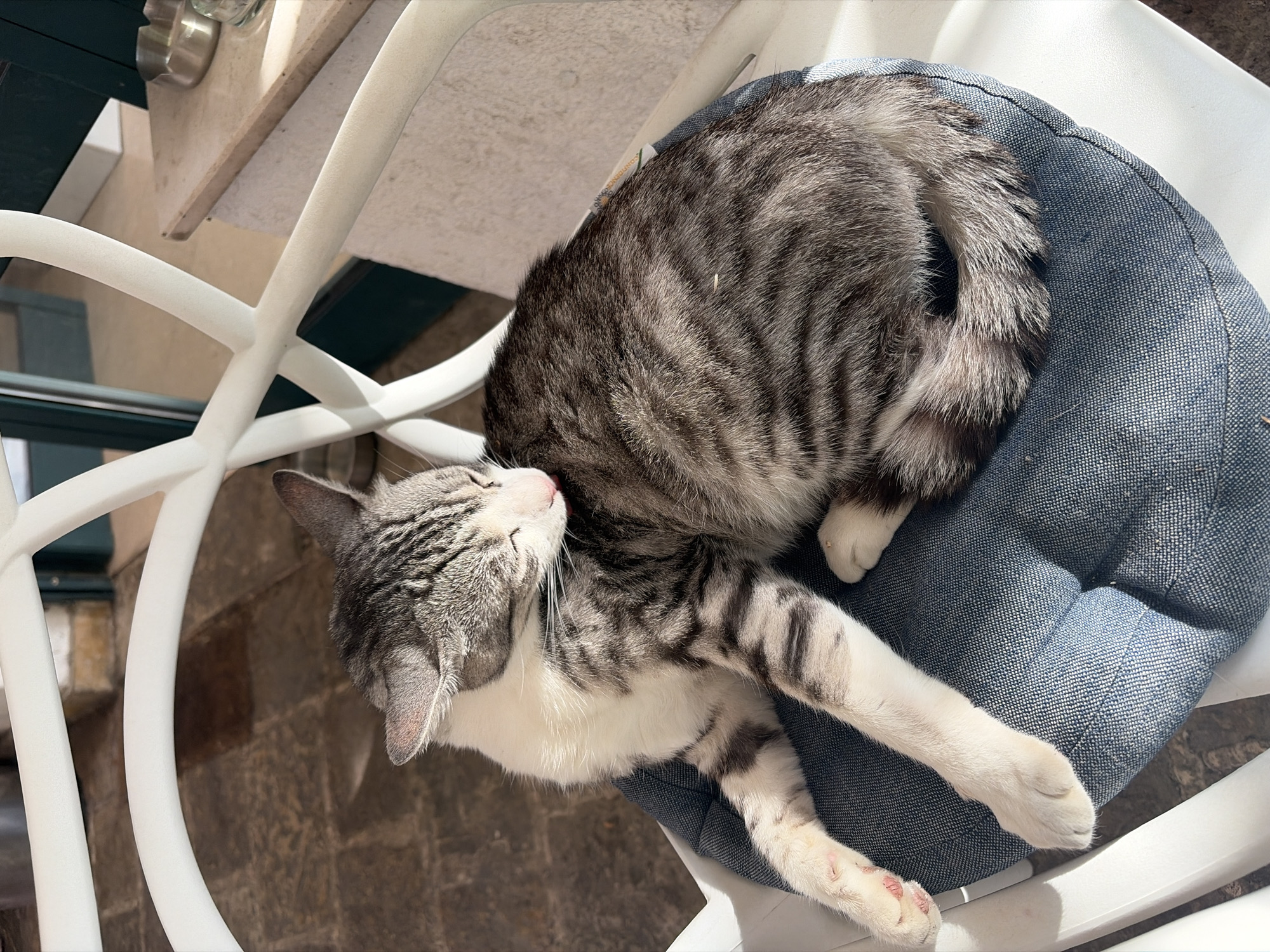 A grey and white tabby cat is sleeping on a blue cushion placed on a white chair. The location is in Budva, Montenegro. The cat is curled up, facing left, with its head resting on its outstretched front paw. The chair is positioned outdoors on a stone surface near a white table.