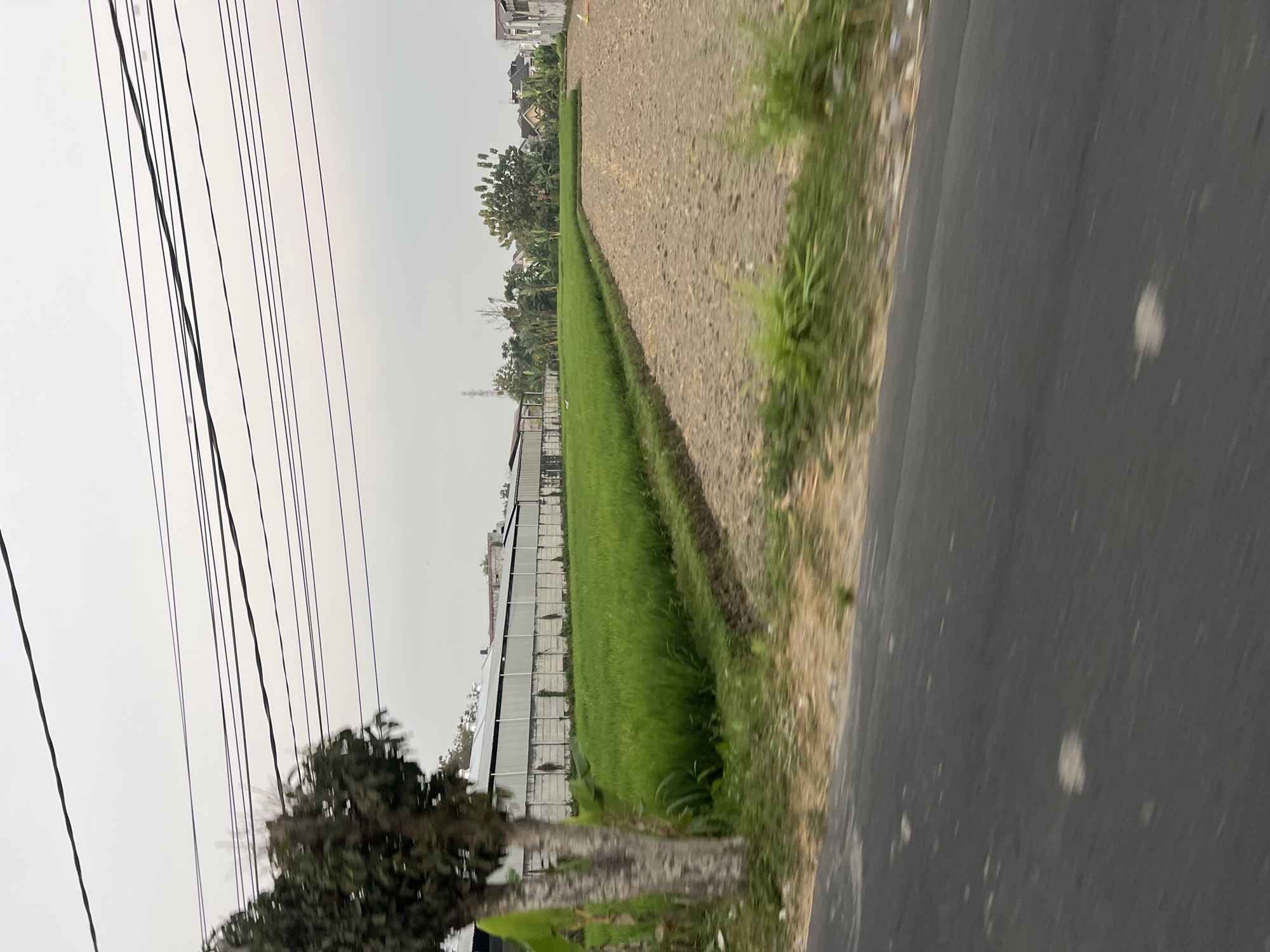 The image depicts a rural or semi-rural landscape in Sendangadi, Indonesia. In the foreground, a dark asphalt road is visible, with patches of dry grass and soil along its edge. Beyond the road, a cultivated field stretches into the middle ground. The field is divided into two sections: one is a lush green area, possibly rice paddies, while the other is a patch of tilled brown earth.

To the left of the green field, a tree with rough bark stands prominently. Behind the fields, a long, low-rise building with a gray, corrugated metal roof is situated. This building appears to be industrial or agricultural in nature. Further in the background, several houses with visible roofs can be seen nestled amongst trees, suggesting a nearby residential area.

The sky above is overcast with a light gray hue, and several power lines are strung across the upper portion of the image, indicating the presence of electricity infrastructure. The overall scene suggests a working agricultural landscape, possibly on the outskirts of a settlement. There are no people or animals clearly visible in the frame.