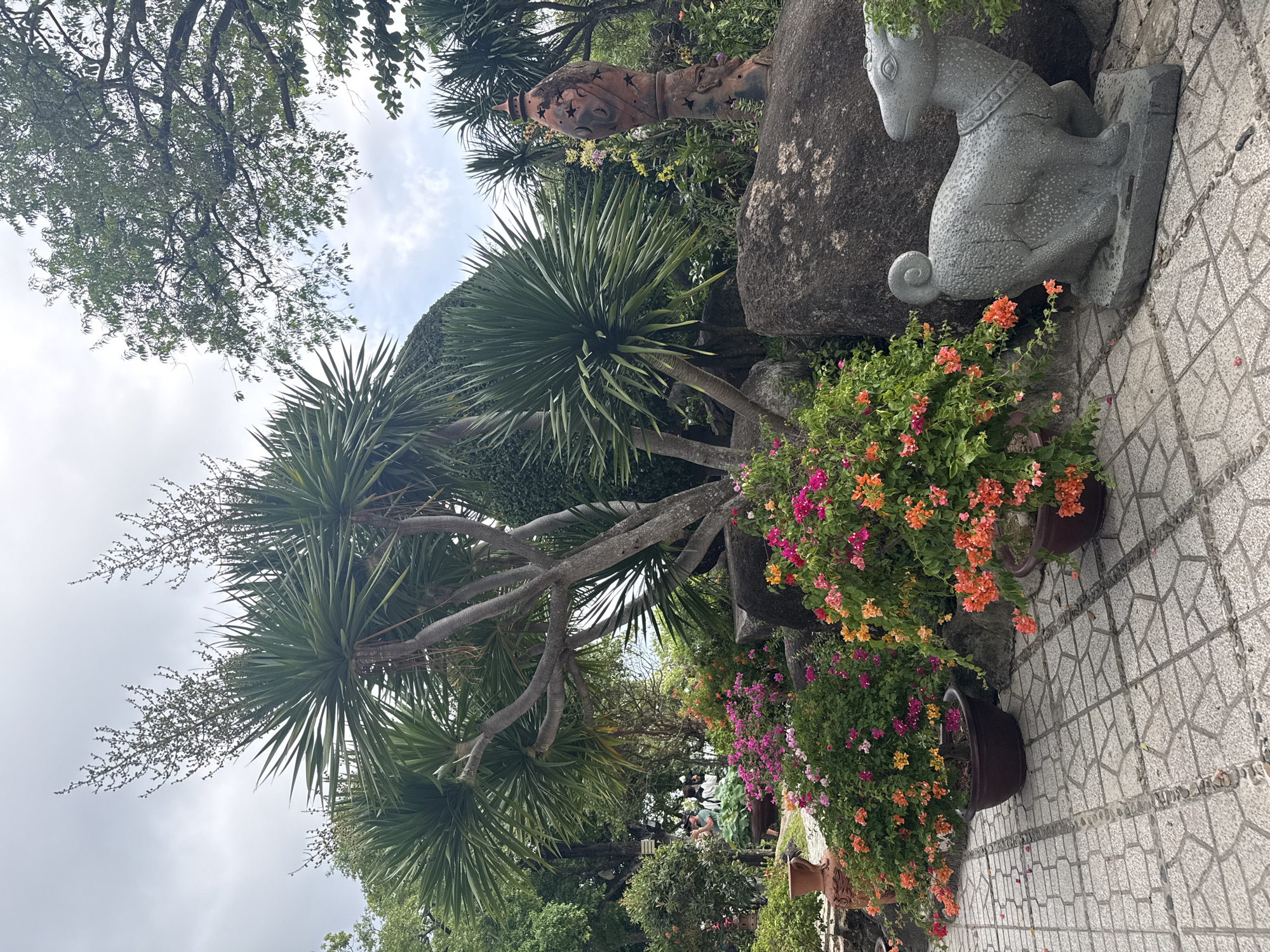 This image depicts a tranquil garden scene, likely within the grounds of the Long Son Pagoda in Nha Trang, Vietnam. In the foreground, a stone sculpture of a ram with a distinctive coiled tail stands to the right, facing left. To the left of the ram, several large planters overflow with vibrant bougainvillea in shades of pink and orange. Behind these planters, large, smooth grey rocks form part of the garden's landscaping.
Dominating the midground is a large Dracaena tree with spiky green foliage and long, branching flower stalks reaching towards the sky. Its thick, grey trunk splits into several branches. Behind the Dracaena, a sculpted terracotta urn with star-shaped cutouts rests on a stone pedestal. Lush greenery and more Dracaena plants fill the background. The ground is paved with interlocking geometric stone tiles. In the distance, several individuals are visible, one of whom appears to be taking a photograph, suggesting a tourist or visitor enjoying the serene atmosphere. The sky above is overcast, with soft, diffused light.