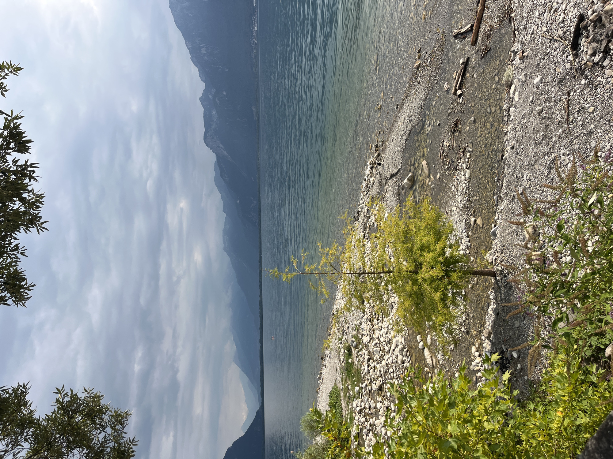 The image depicts a scenic view of Lake Geneva (Lac Léman) from the shore in Montreux, Switzerland. In the foreground, a stony beach transitions into the clear, blue water of the lake. Lush green foliage and trees are visible on the left side of the frame, and a slender, yellow-leafed tree stands prominently on the beach. Across the lake, a range of imposing, hazy mountains forms the backdrop, their peaks shrouded in a light mist. The sky is overcast with scattered clouds, casting a diffused light over the landscape. A small boat can be seen in the distance on the water. The overall scene conveys a sense of natural beauty and tranquility.