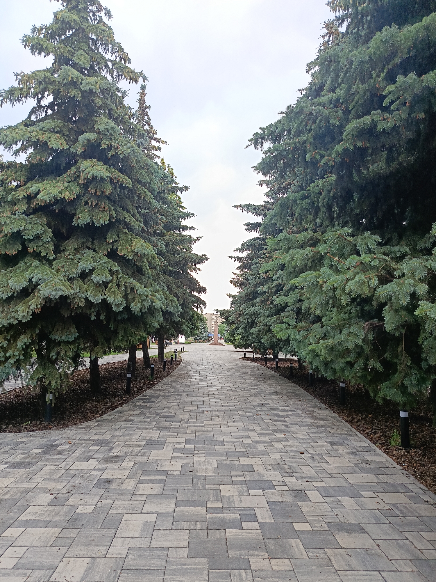 The image shows a paved walkway lined with tall spruce trees on either side, leading towards a monument in the distance. The walkway is made of gray and beige rectangular paving stones. The trees are lush and green, with their branches extending over the path. The sky is overcast. In the distance, a monument with a statue on top is visible. The scene appears to be a park or public square in the city of Gubkin, Russia, likely a place for recreation or commemoration.