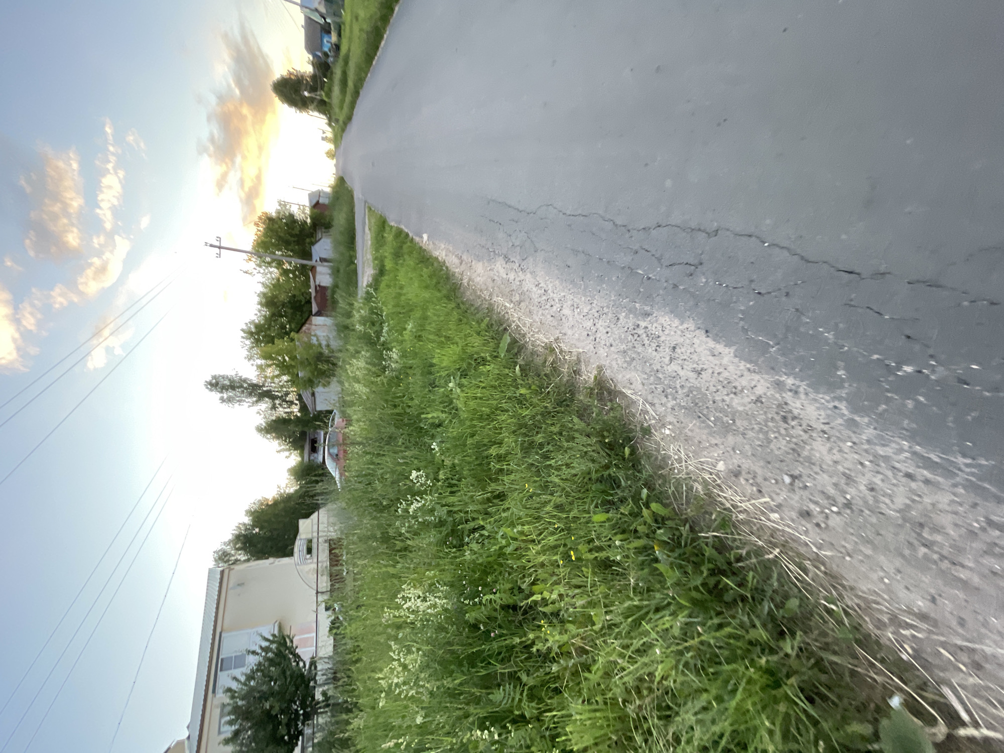 The image depicts a rural road in the village of Krasnye Baki, Russia, at either dawn or dusk, as indicated by the soft, diffused lighting and the colors of the sky. The road, made of asphalt, is in a state of disrepair with visible cracks. To the left of the road, there is a strip of tall, overgrown grass and weeds, with some small wildflowers scattered throughout. Beyond the grassy area, a light-colored, two-story building with a white roof is visible, adjacent to a small, dark green tree. Further down the road, to the left, there are several small, corrugated metal sheds and a red car parked behind the tall grass. To the right of the road, the perspective extends towards a tree-lined horizon, with the silhouette of houses and a power pole visible in the distance. The sky is a blend of pale blue, with soft, wispy clouds tinged with orange and yellow, suggesting either sunrise or sunset. There are no people or animals visible in the frame.