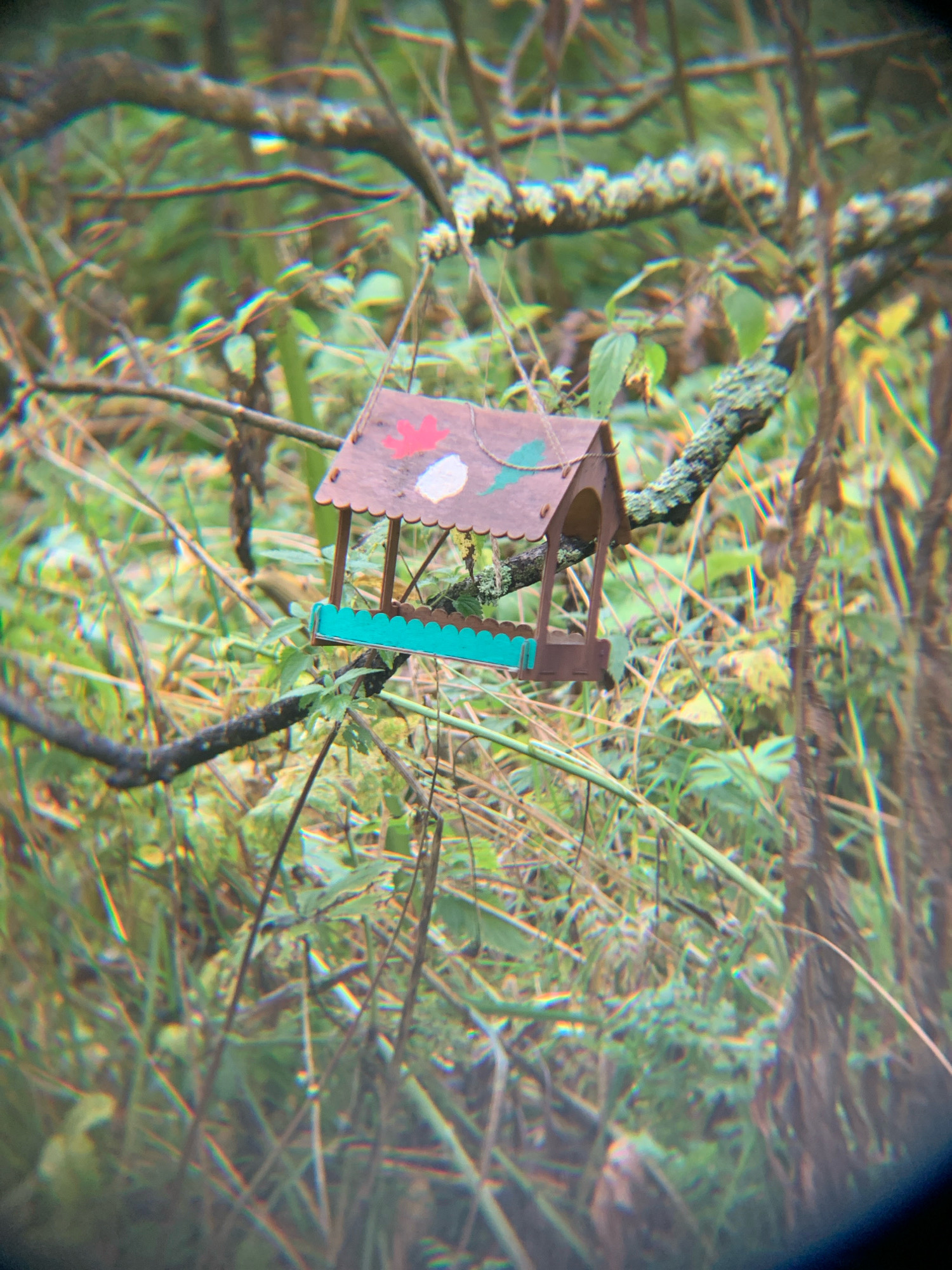 In Vas'kovo, Russia, a rustic bird feeder, crafted from brown wood with a scalloped brown roof, is suspended from a tree branch. The roof is adorned with small, colorful splotches of paint, including red, white, and green, and a thin green string is visible. The feeder has a bright turquoise platform with a scalloped edge. The background is a dense, out-of-focus tapestry of green foliage, brown branches, and dry grass, suggesting a natural outdoor setting. The image appears to be taken with a camera that has a shallow depth of field, making the bird feeder the primary subject while blurring the surrounding environment.