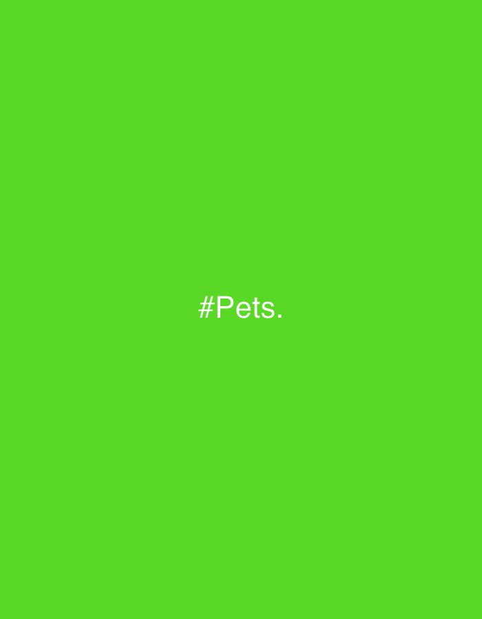 The image displays the text "#Pets." in white, centered horizontally and located in the lower-middle portion of a bright green background. There are no people, objects, or any environmental details visible in the image, nor is there any indication of a location in Nha Trang, Vietnam.