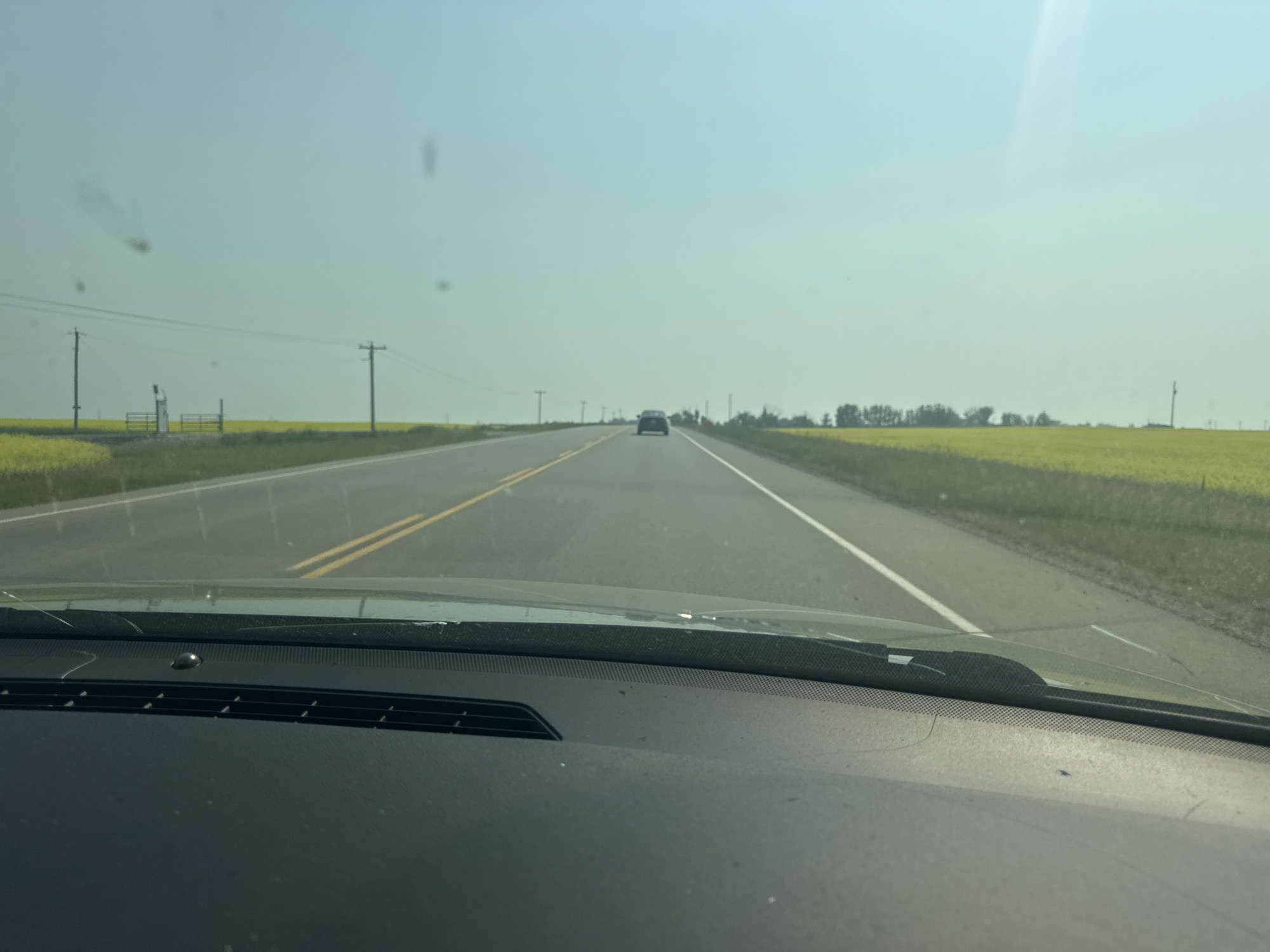 This image depicts a view from inside a vehicle traveling on a two-lane highway through a rural landscape. The highway is paved with yellow and white lane markings. On either side of the road, vast fields of yellow flowers, likely canola, stretch to the horizon. Power lines and poles are visible along the roadside. In the distance, a dark-colored sedan is driving in the same direction. The sky is a clear, pale blue, with some minor smudges or dirt on the windshield. The scene appears to be on a bright, sunny day. While the exact location is not explicitly stated within the image, the presence of canola fields and the general landscape are consistent with rural areas of Alberta, Canada, such as the city of Chestermere, which is known for its agricultural surroundings.