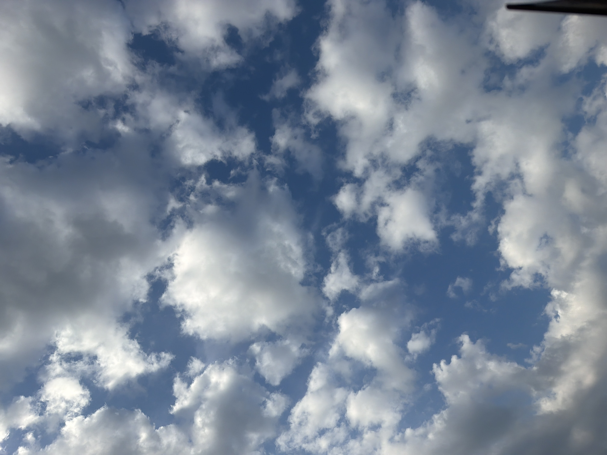 A low-angle, full shot captures a dramatic sky filled with dynamic, fluffy clouds of varying shades of white and grey against a bright blue backdrop. The lighting suggests a bright, possibly sunny day with the sun intermittently peeking through the cloud cover, creating highlights and shadows. The clouds appear to be in motion, with some edges blurred and others sharply defined, indicating wind. The image is focused on the sky, with no discernible city elements, landmarks, or people visible from this perspective in Chattanooga, United States of America. The composition is abstract and atmospheric, focusing solely on the natural phenomenon of clouds.