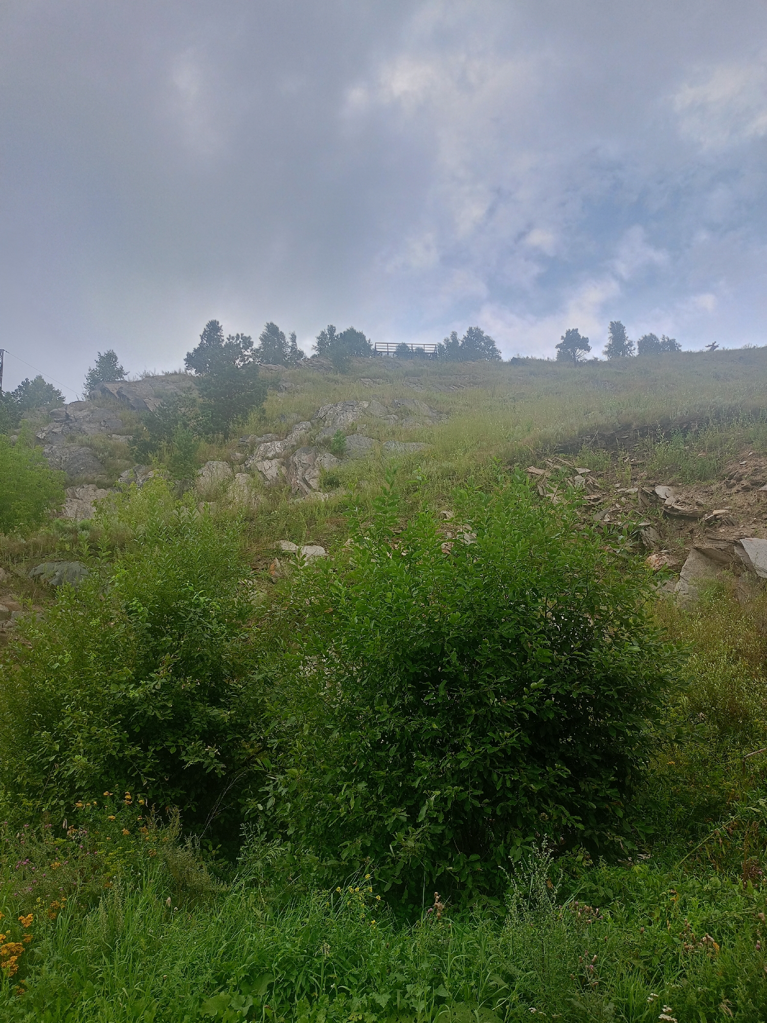 The image depicts a natural landscape, likely a hillside, with lush green vegetation in the foreground and a rocky incline in the background. The sky is overcast with clouds. Trees are sparsely scattered along the upper portion of the hillside. There appears to be a wooden railing or fence structure visible near the top of the hill. The scene is indicative of an outdoor, undeveloped area, possibly a park or natural reserve. The location in Zlatoust, Russia, suggests a temperate climate with ample greenery, consistent with the visual evidence. There are no visible people or animals. The focus is on the natural environment and its elements.