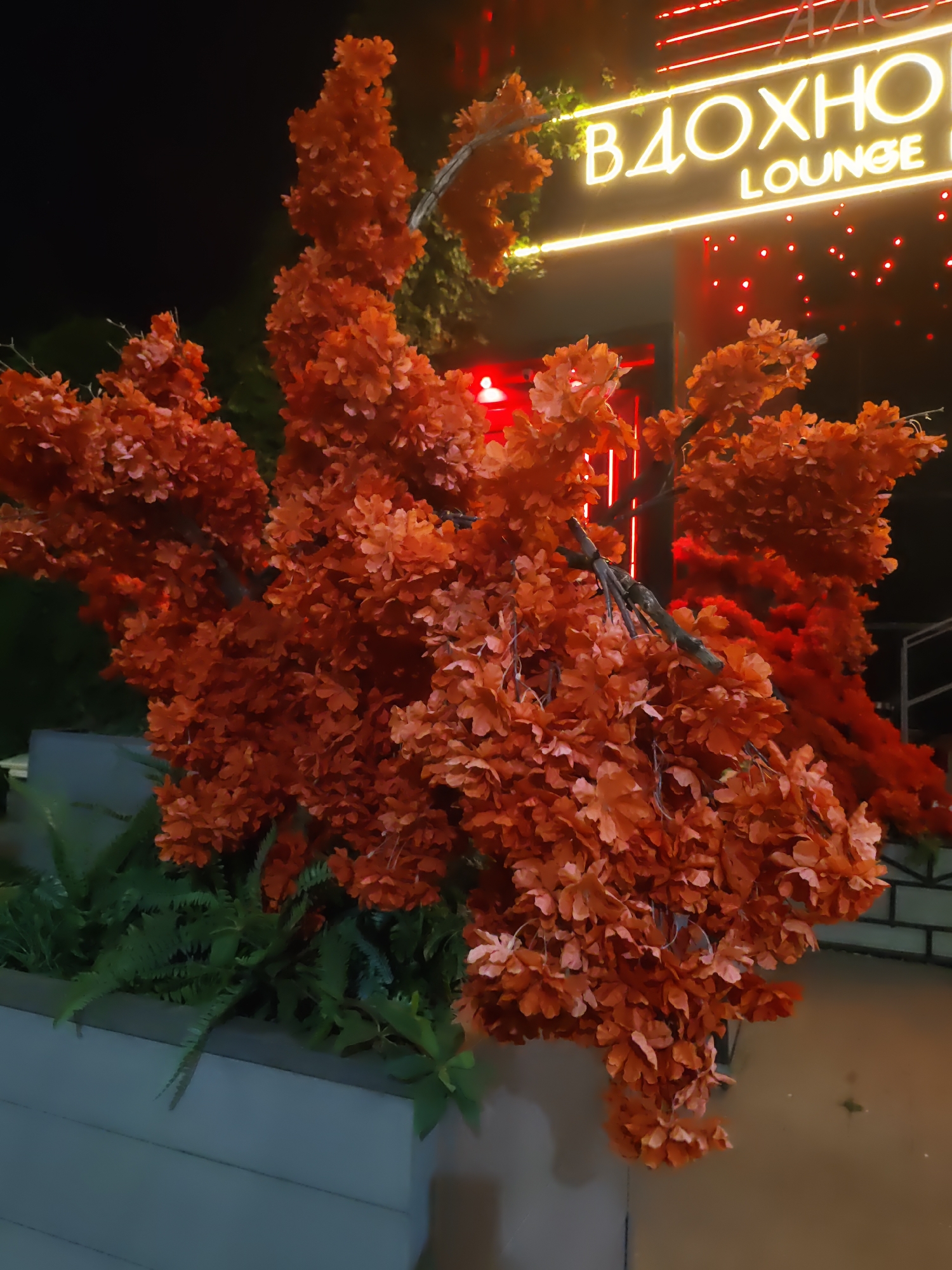 The image captures a dimly lit nighttime scene in Rostov-on-Don, Russia, featuring an outdoor seating area of a lounge or restaurant. In the foreground, a large artificial tree with vibrant orange foliage dominates the frame, its branches laden with countless small, artificial leaves. Interspersed among the orange leaves are dark green artificial ferns, creating a layered effect. To the left, a white planter box supports these artificial plants. In the background, a neon sign glows brightly, with the Cyrillic letters "В ДОХОД" (V DOKHOD) illuminated in yellow, followed by "LOUNGE" in white lettering below. Red lights are scattered behind the neon sign, suggesting further illumination or decorative elements of the establishment. The overall ambiance is that of an inviting, perhaps somewhat kitschy, outdoor dining or relaxation space.