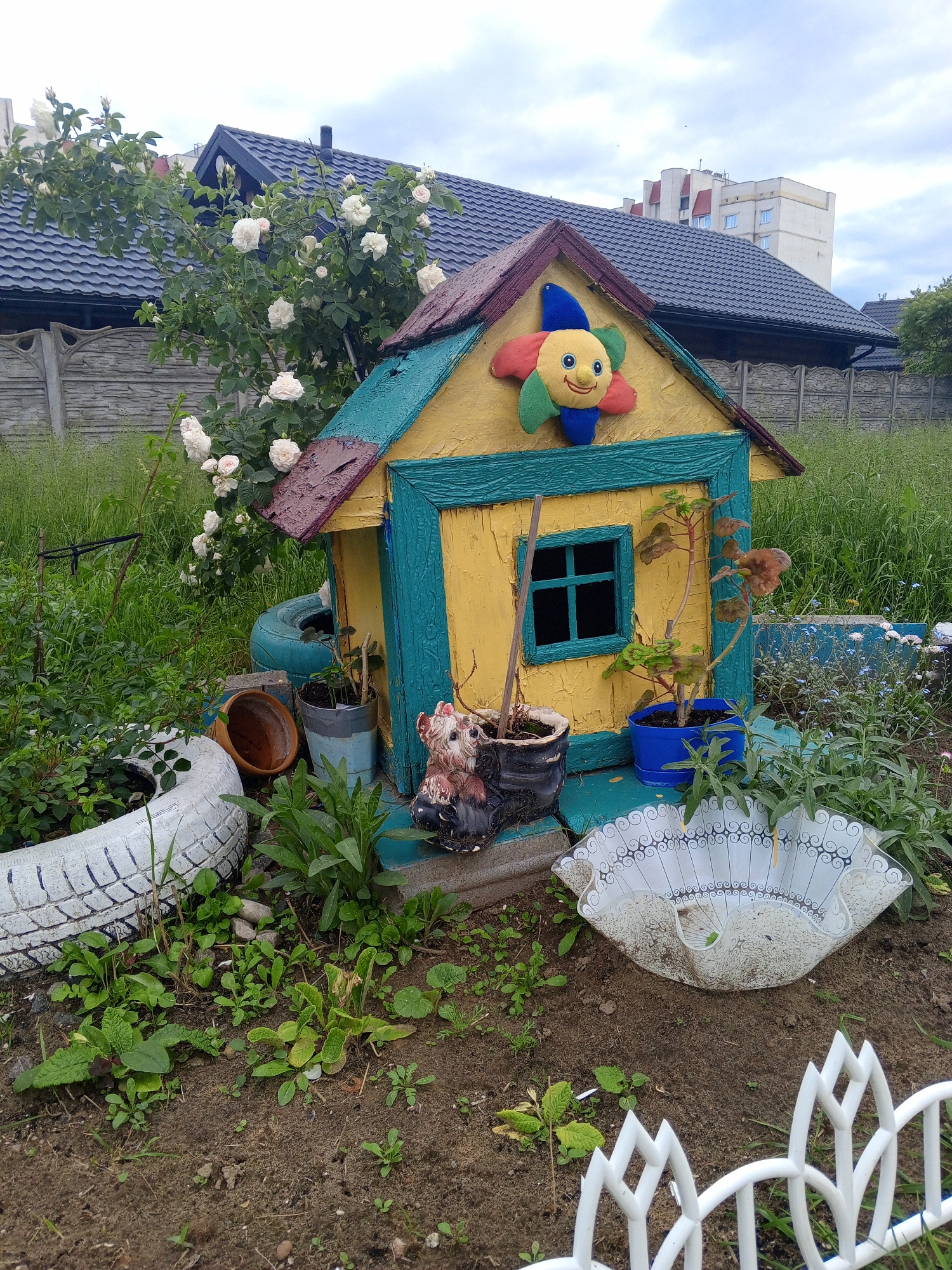 This image depicts an outdoor garden scene in Unknown, Unknown, under an overcast sky. The central subject is a small, miniature house-like structure painted bright yellow with teal trim and a textured, multi-colored roof (dark red and teal). A cheerful, multicolored stuffed flower toy with a yellow face is affixed to the front gable of the miniature house. A dark window is visible on the front of the miniature house.
In the foreground, the ground consists of bare soil interspersed with small green plants and seedlings. A section of a white, decorative plastic garden fence with a pointed design is present on the lower right. A large, translucent white dish with a black swirl pattern, resembling a ruffled fan, lies on the ground near the center. To the left, a white tire painted with blue stripes is repurposed as a planter, containing green foliage. Next to it, a terracotta pot lies on its side, and a small, brown and black figurine of a creature is positioned at the base of the miniature house. Various potted plants in blue, gray, and light blue containers are arranged around the miniature house, including one with reddish-brown and green leaves in a dark blue pot.
In the midground, behind the miniature house, a patch of small plants with delicate white and light blue flowers is visible. Further back, overgrown green grass and weeds cover the ground.
The background features a large rose bush with numerous white blooms and green leaves, extending from the left across the upper midground. Behind the rose bush, a concrete fence with decorative elements separates the properties. Beyond the fence, a house with a dark gray tiled roof and a visible chimney is present. In the far background, a multi-story, light-colored residential building with several windows and red architectural details stands against the cloudy sky. No individuals are present in the scene.