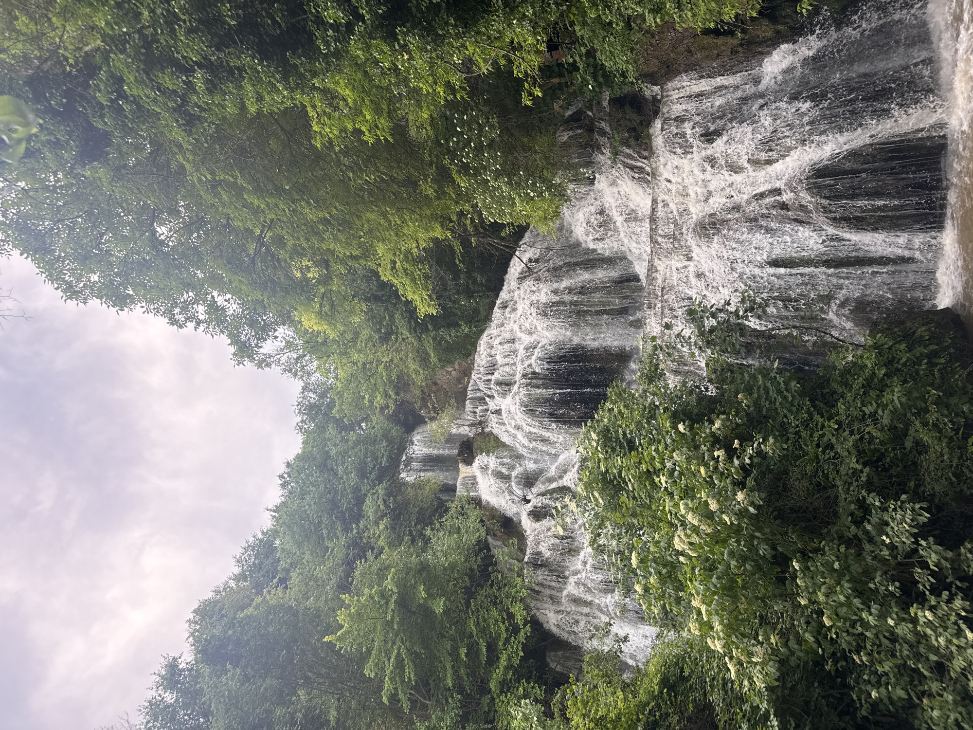 A cascading waterfall, bordered by lush green trees and foliage, is under a cloudy sky in Krushuna, Bulgaria. The water flows down a rocky slope, creating multiple tiers and levels. Dense trees flank the left and right sides of the waterfall. Some white flowers are visible among the greenery on the right side.