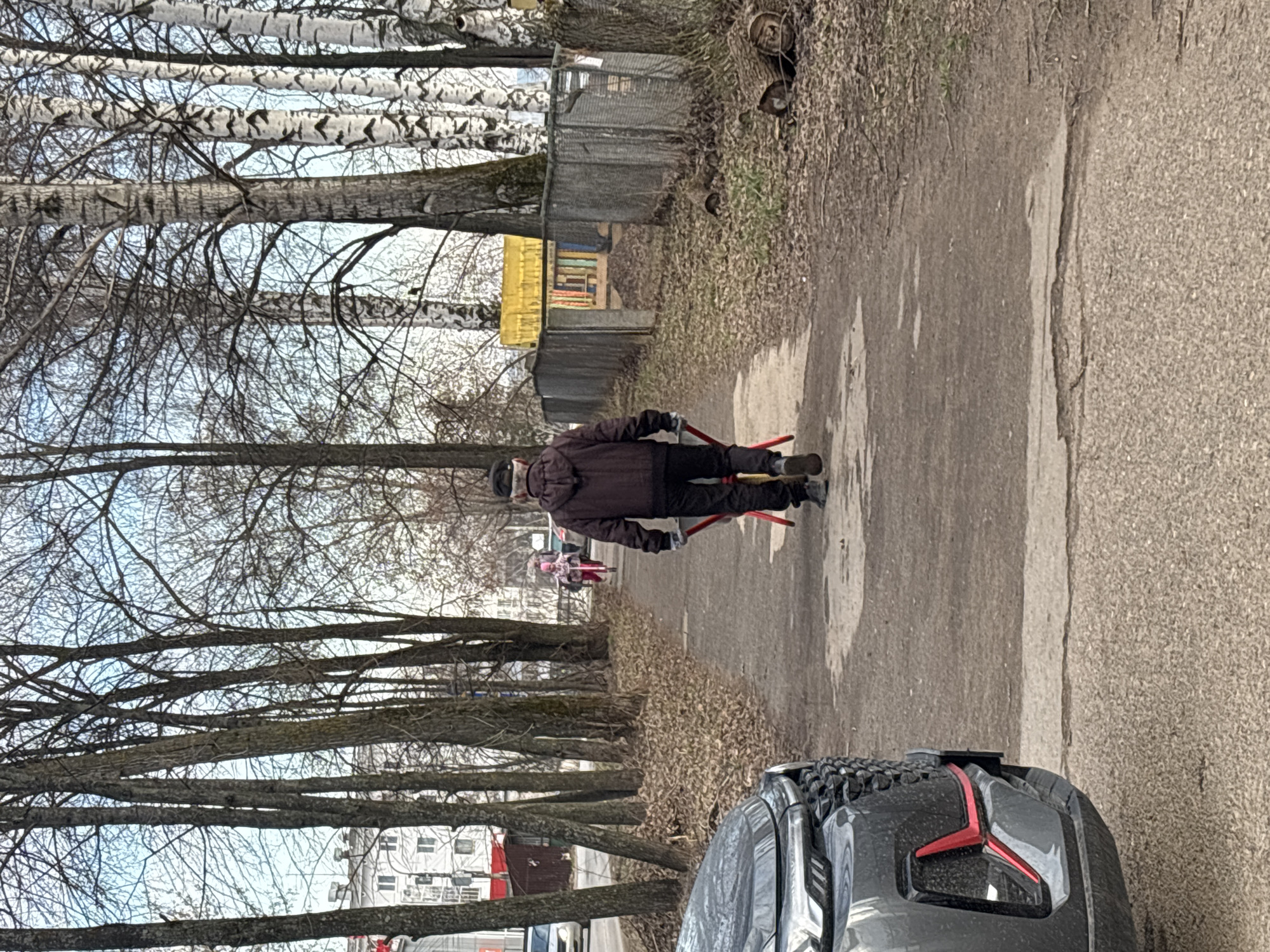 An outdoor scene captures a gray car parked at the curb on an asphalt roadway. The photo is taken in Chaikovsky, Russia. In the distance, a figure wearing a brown jacket and black pants walks away from the viewer, carrying a pair of red ski poles. To the left, a line of bare trees and birch trees stretches into the distance, bordering a small grassy verge covered in fallen leaves. In the background, a row of residential buildings is visible beneath the branches of the trees. A gray wooden fence is on the right of the road, along with a yellow barrier with what appears to be a multi-colored design.